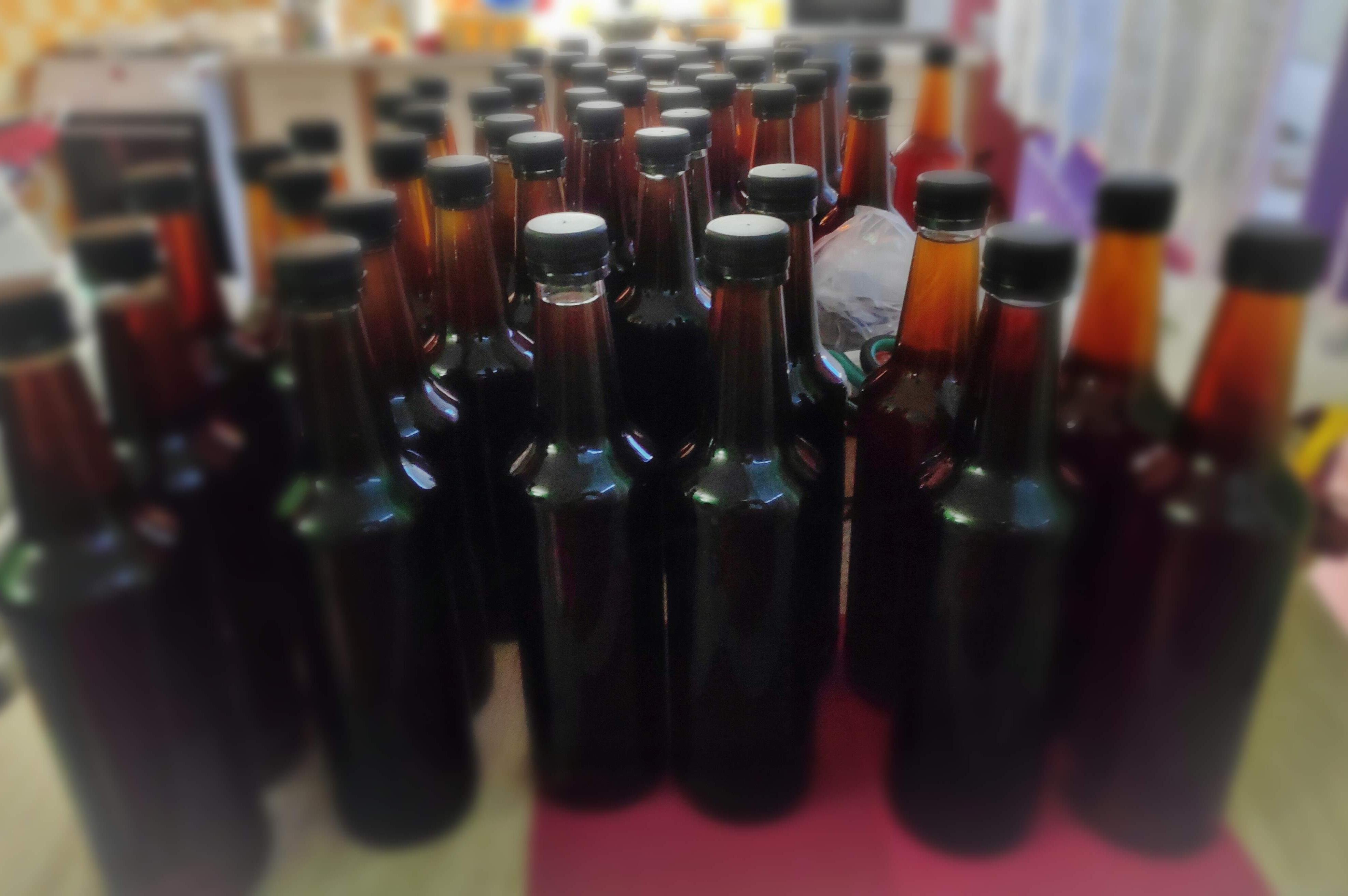 Šípková vína Renata Friedlová