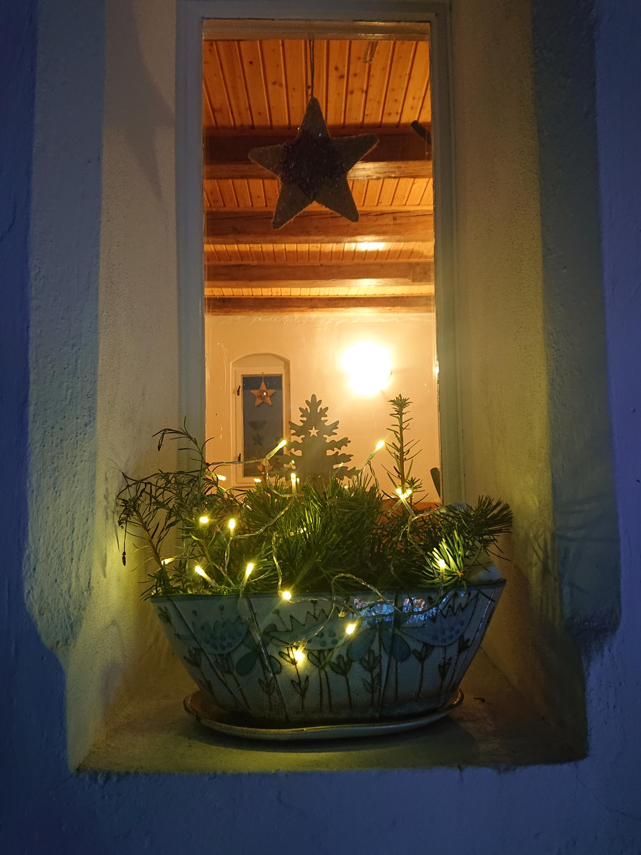 Na Volárně foto 5