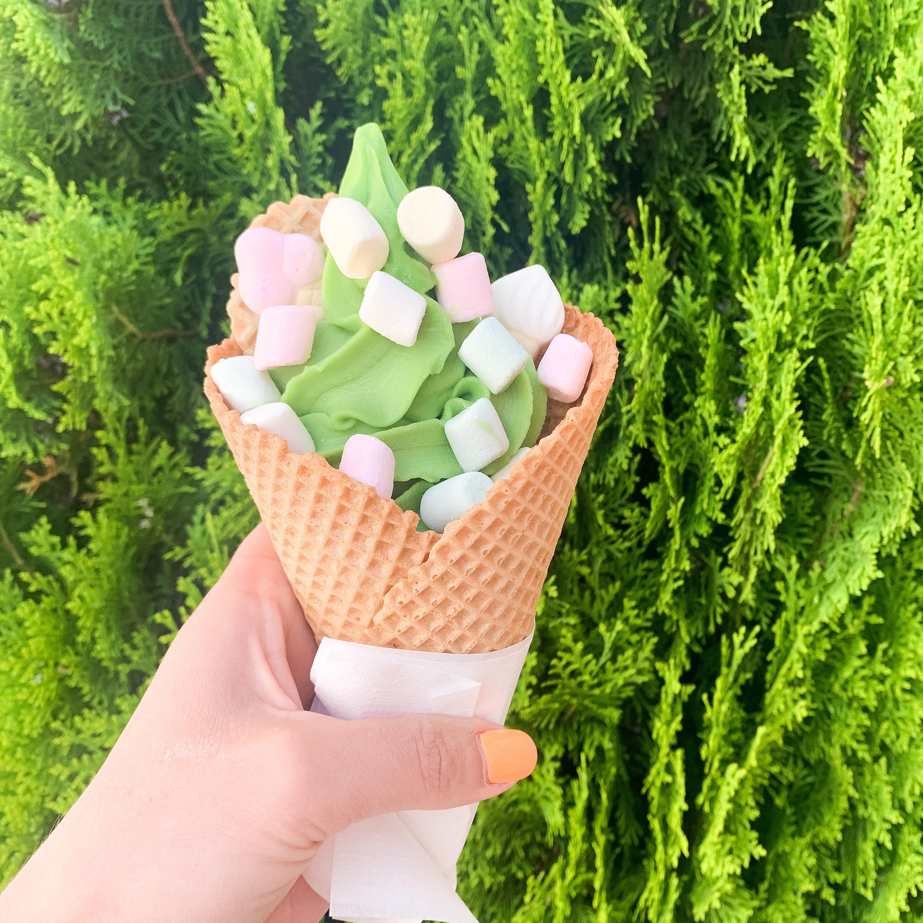 NeMilánská Zmrzka foto 2