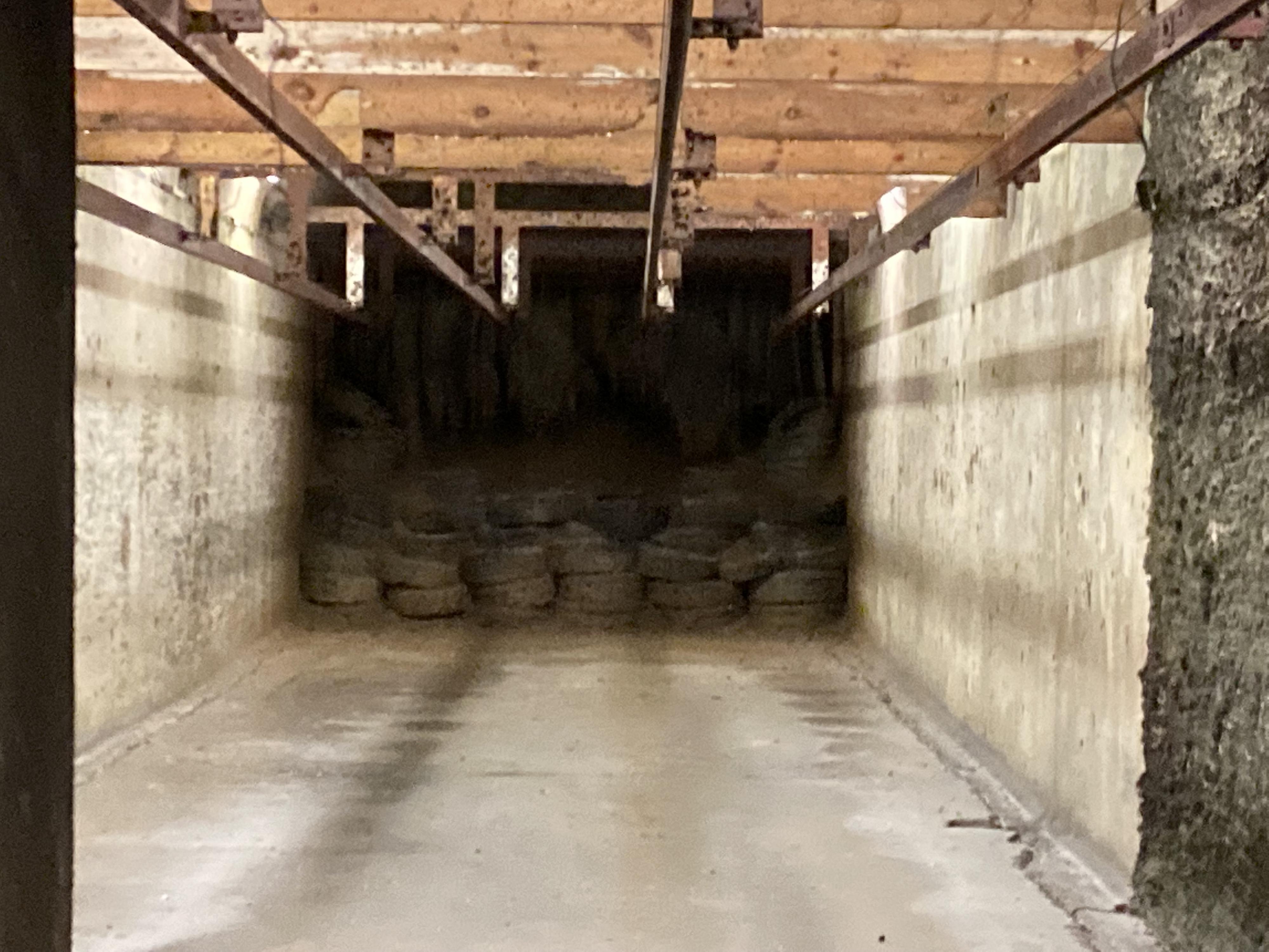 Střelnice Magnum foto 5