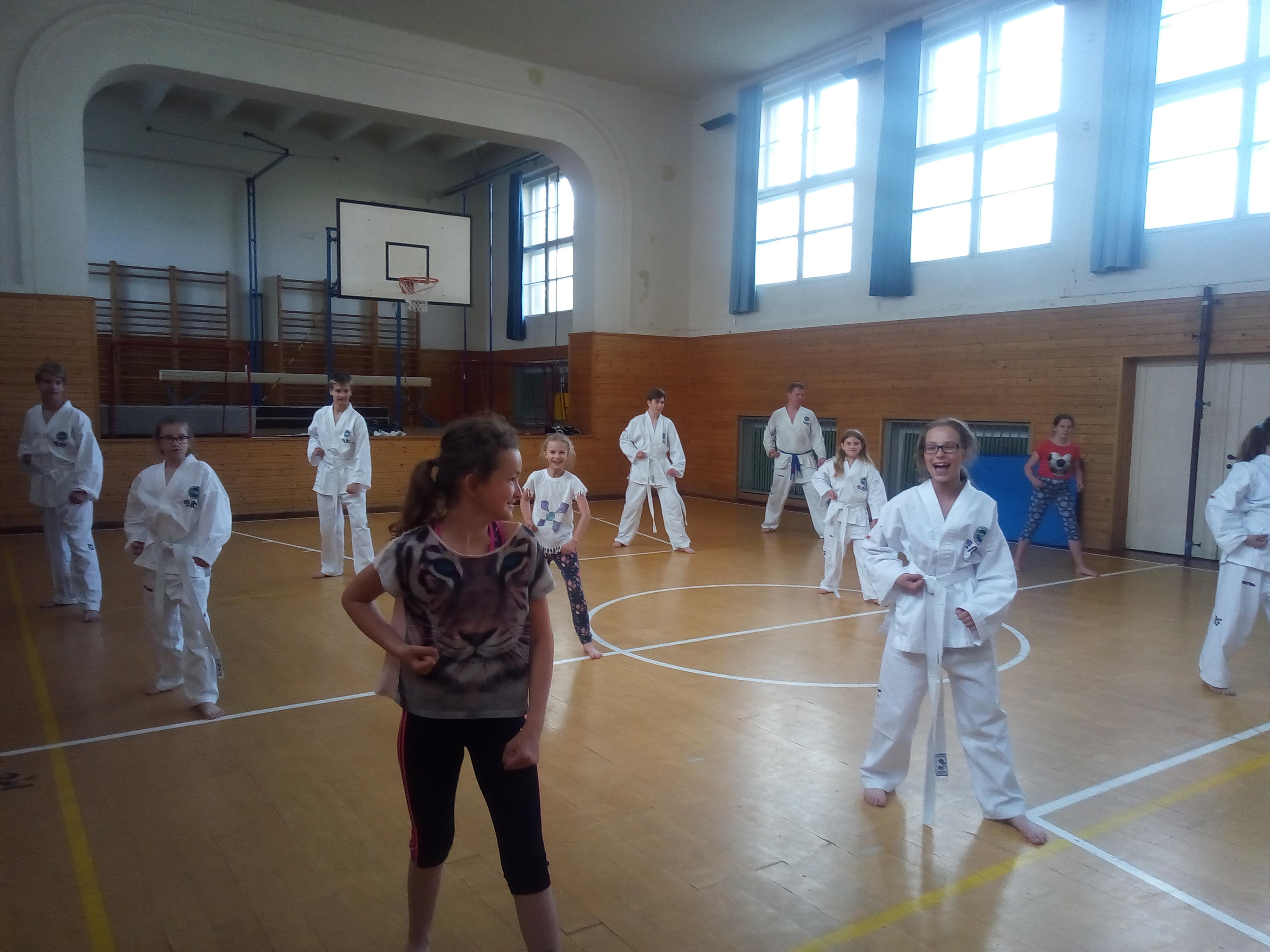 Taekwon-Do Lions foto 4