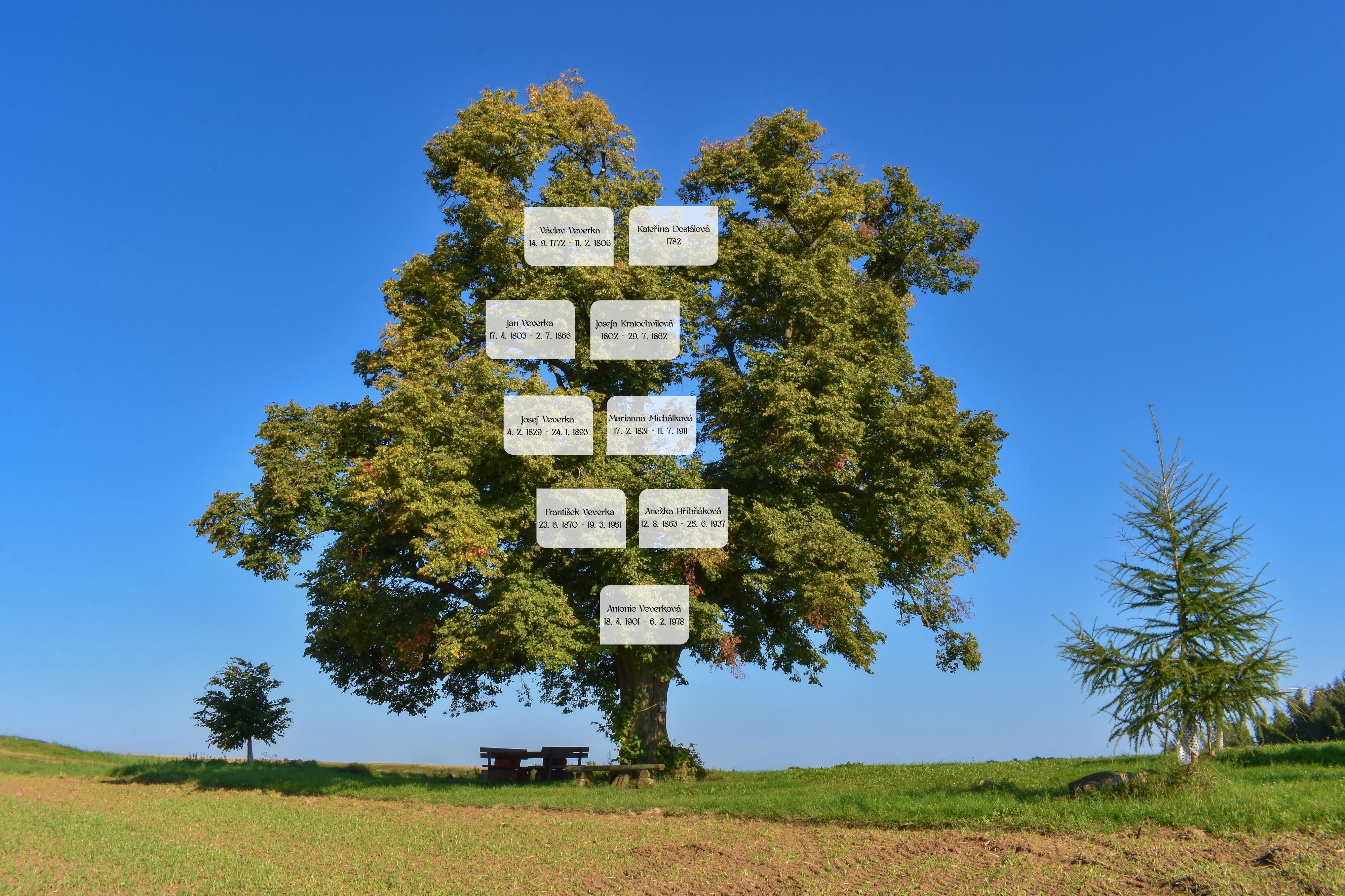 Rodové kroniky Mgr. Veronika Kašná foto 4