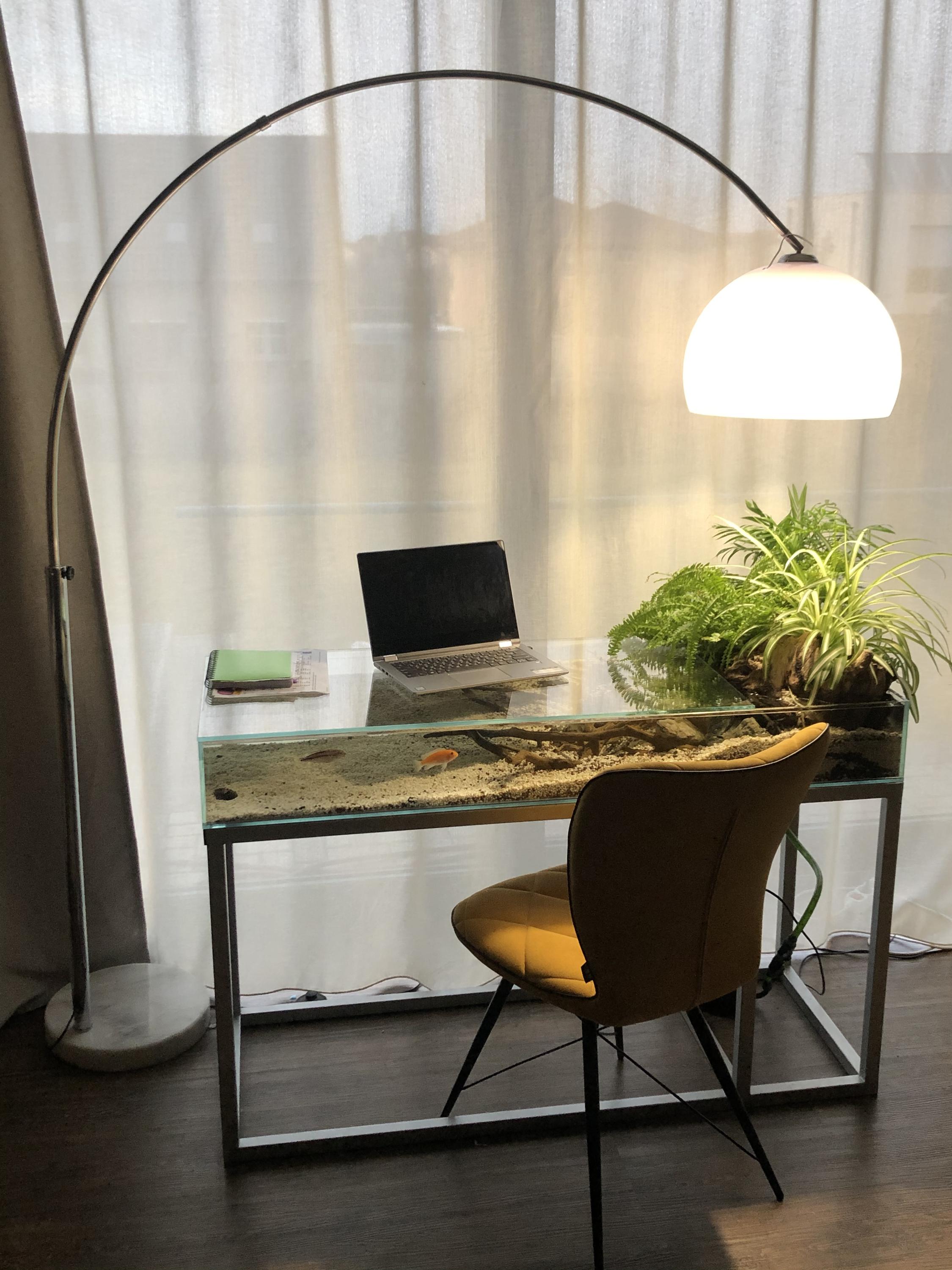 AquaDenCz foto 4