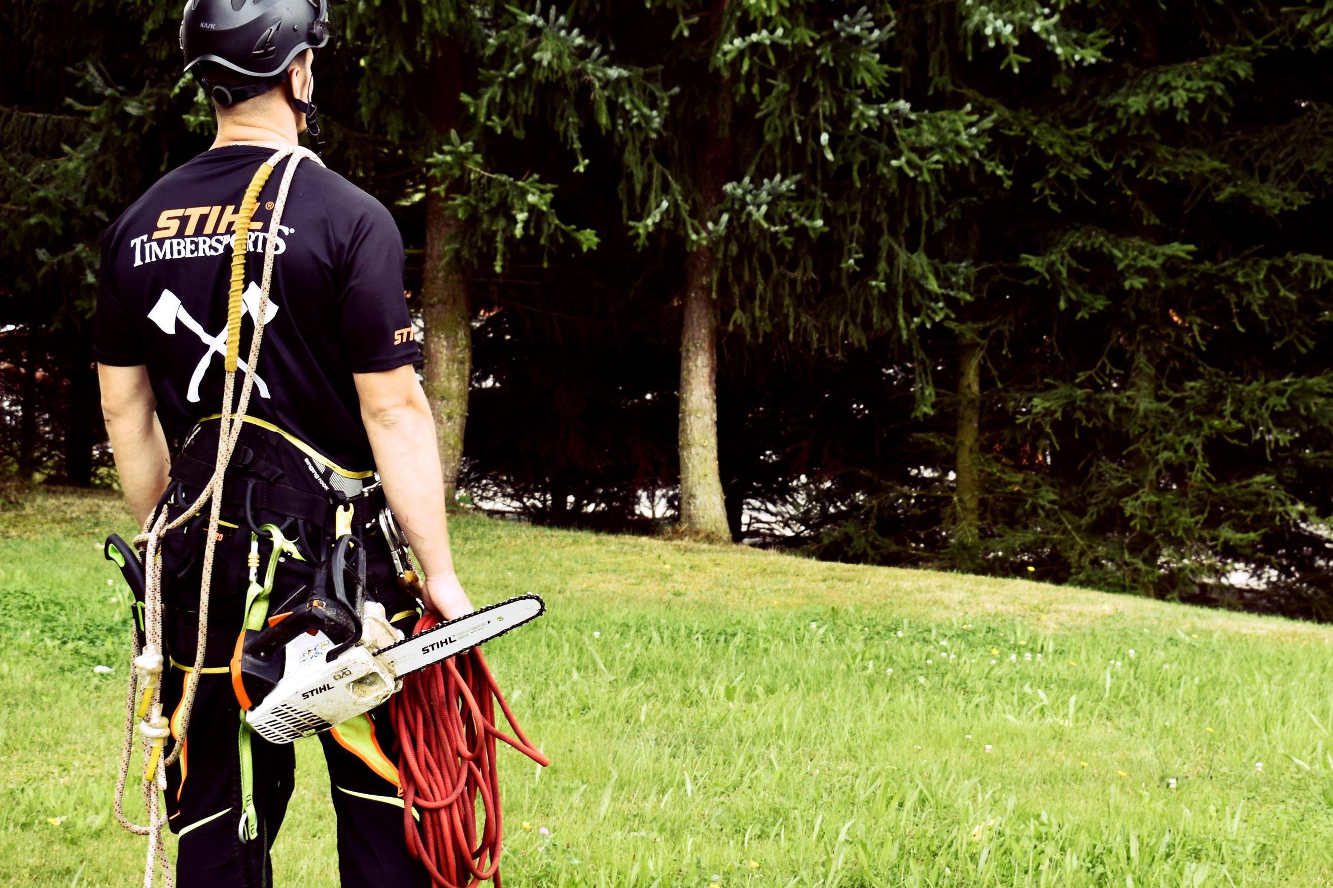 Rizikové kácení - Jan Pacholík