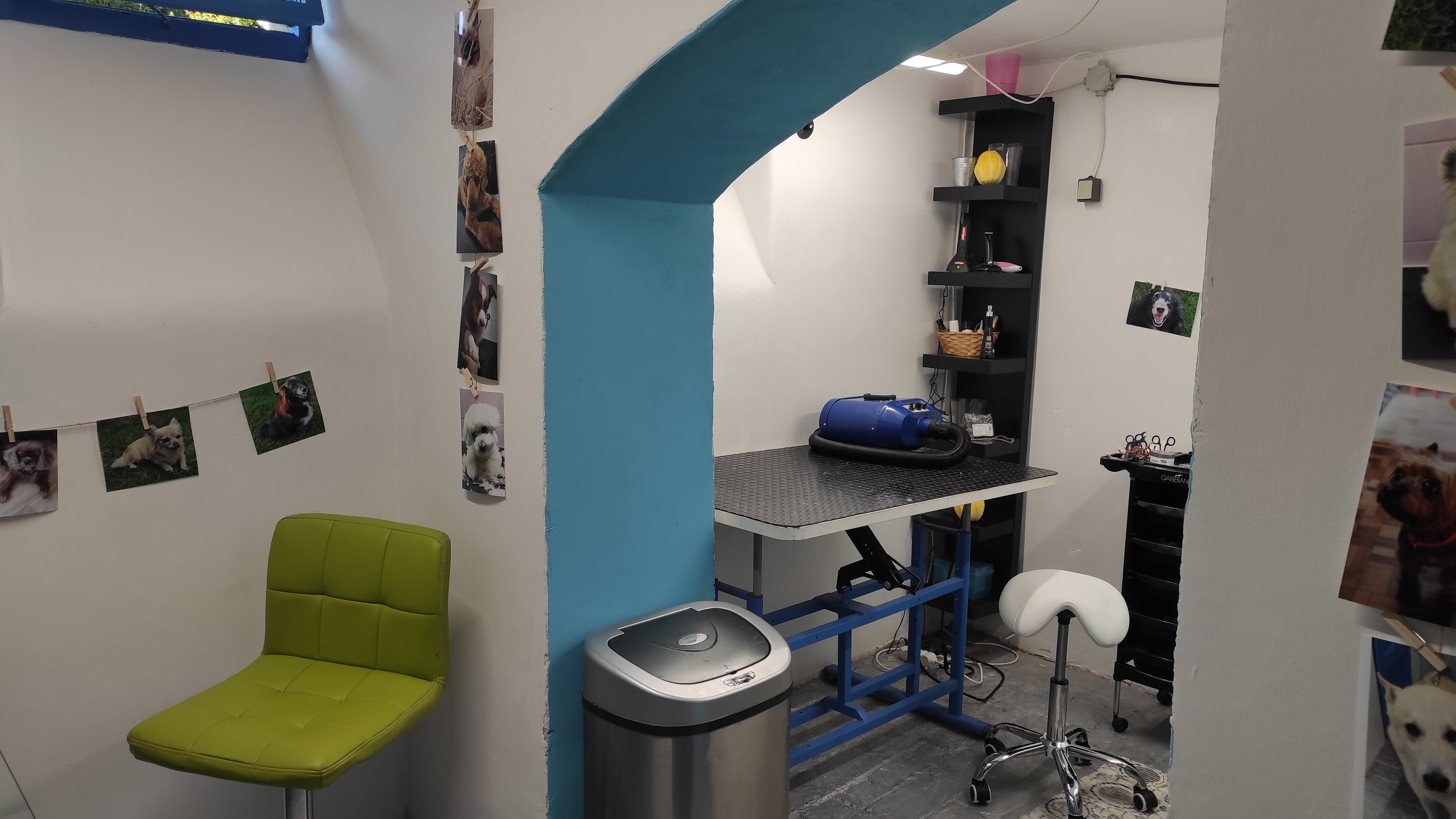 Psí salón u Simony foto 2