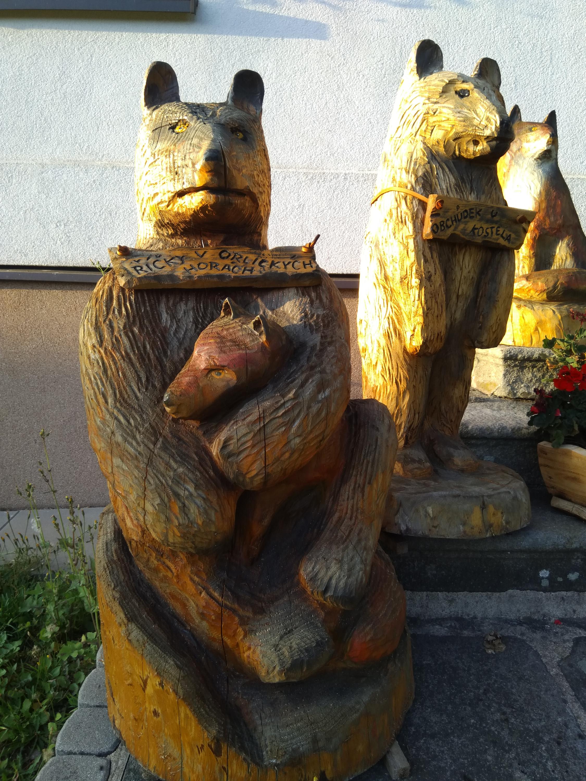 Říčky v Orlických horách - obecní úřad foto 6