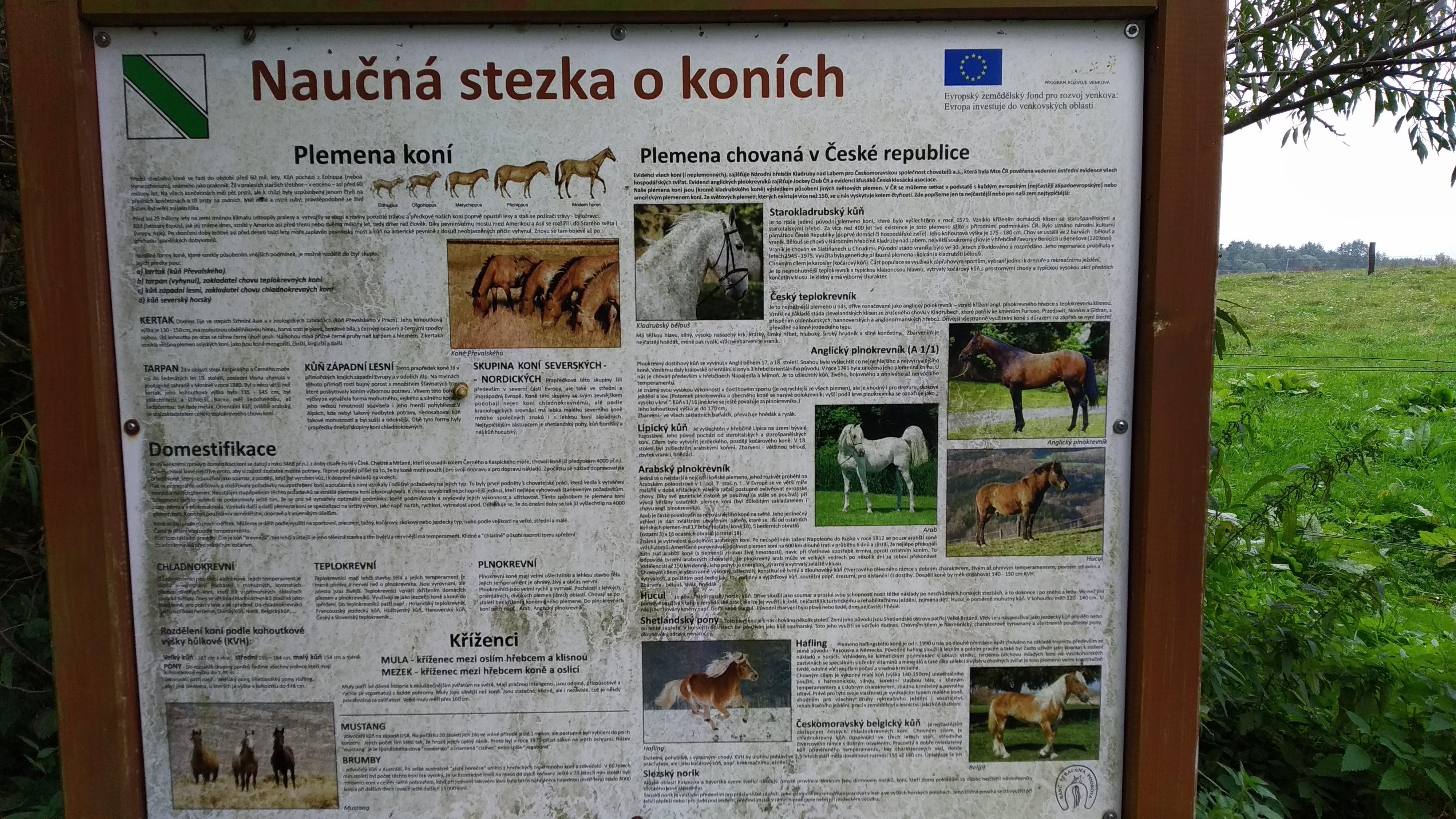 Ranč Ztracená Podkova foto 3