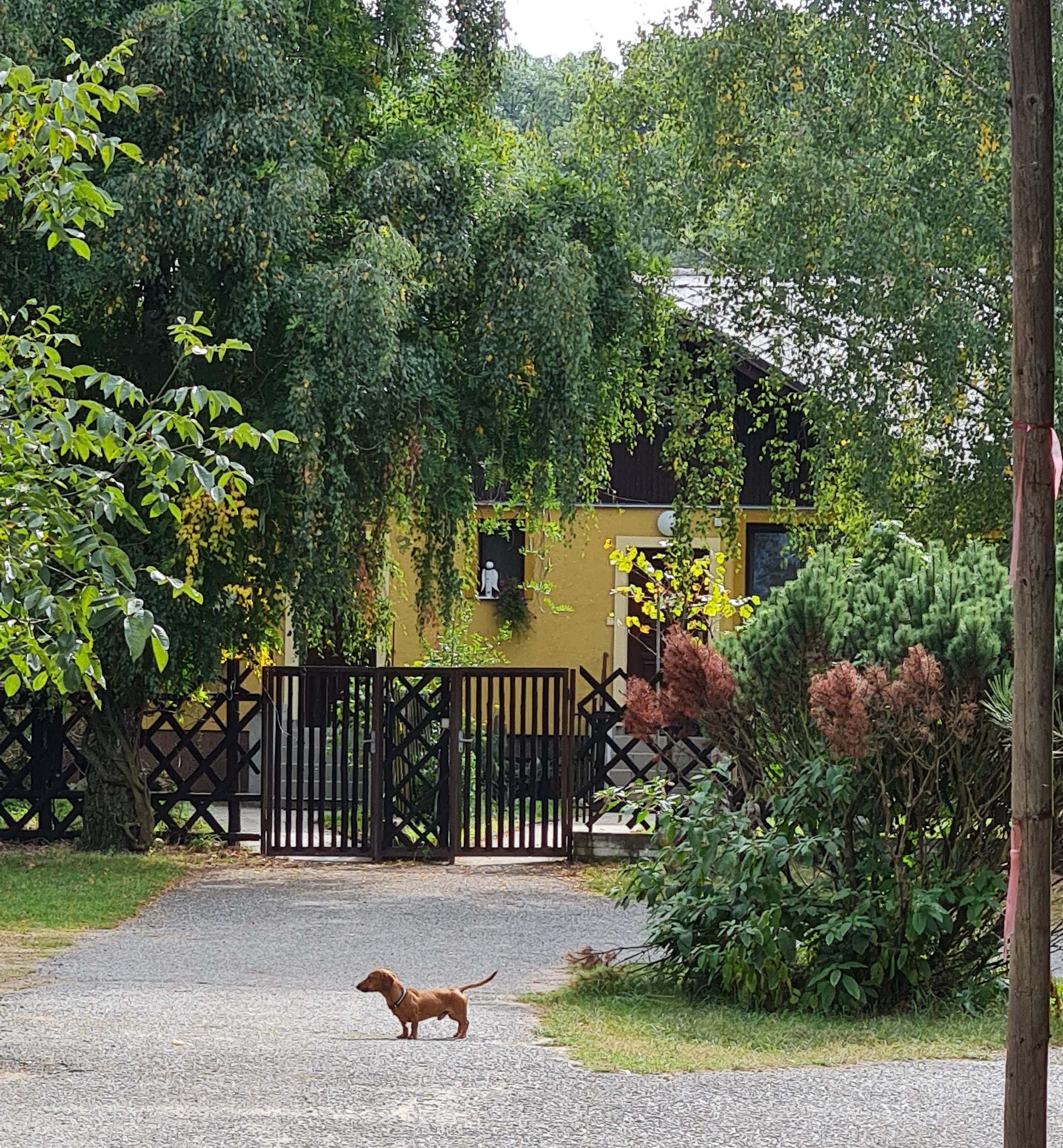 Hájenka Dúbravka foto 3