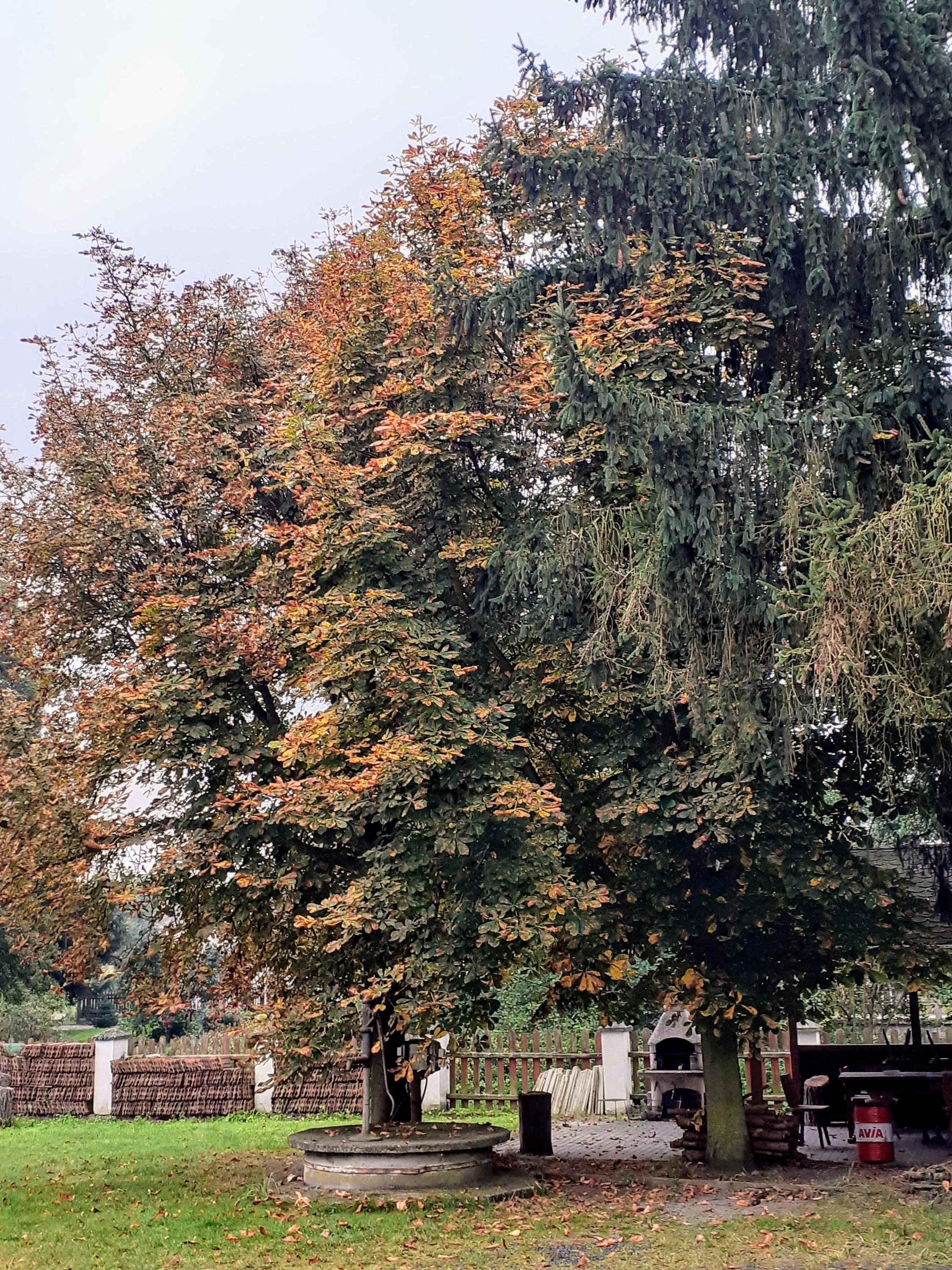 Lukáš Haltenberger foto 5
