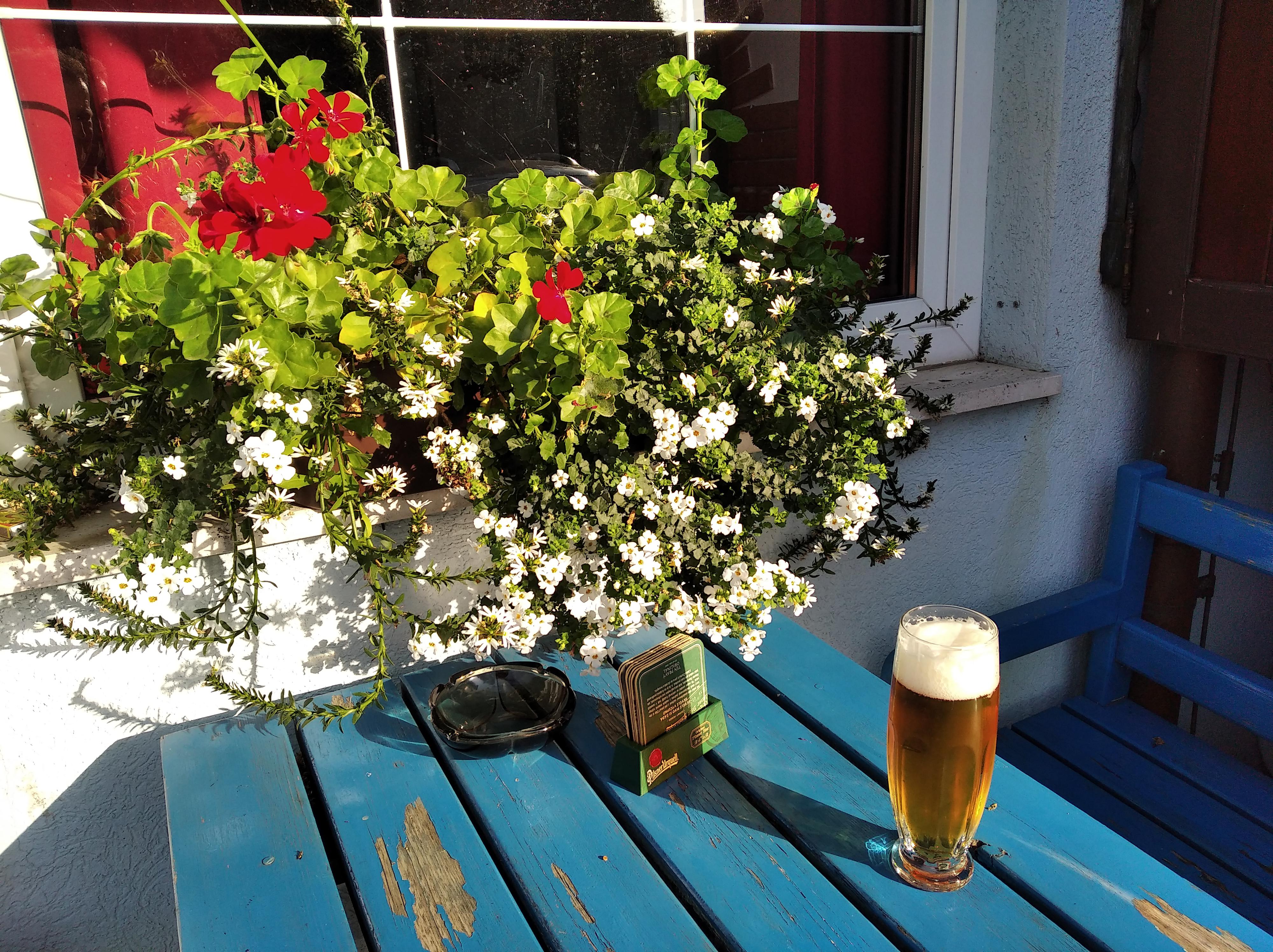 Staročeská restaurace U Kaštanu foto 3