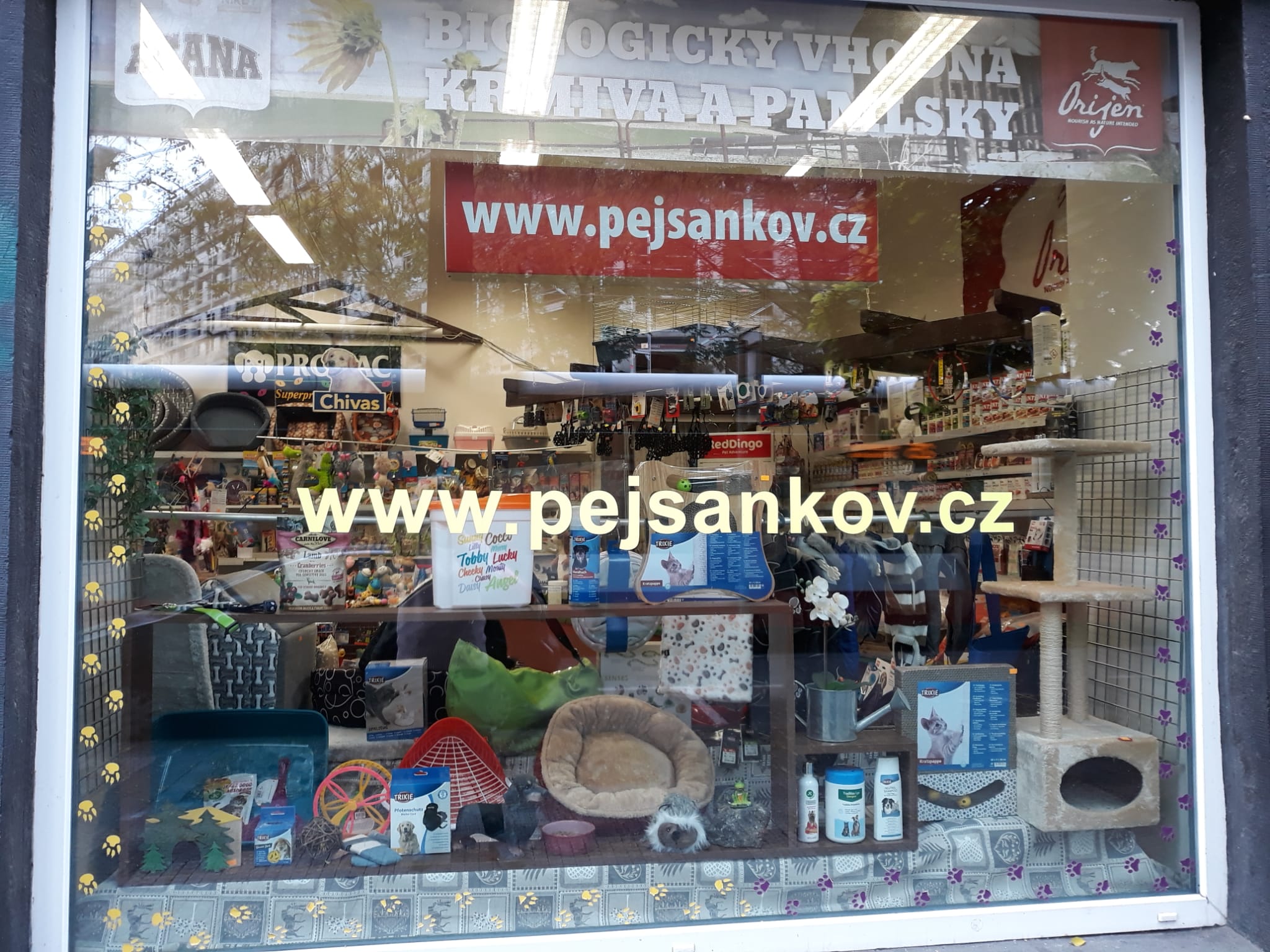 Pejsankov.cz foto 4