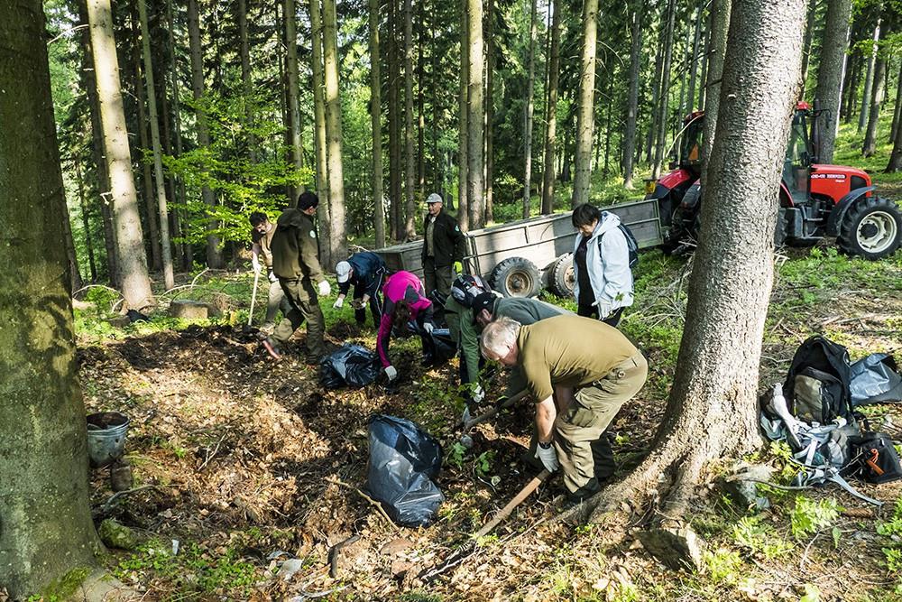Marius Pedersen, a.s.