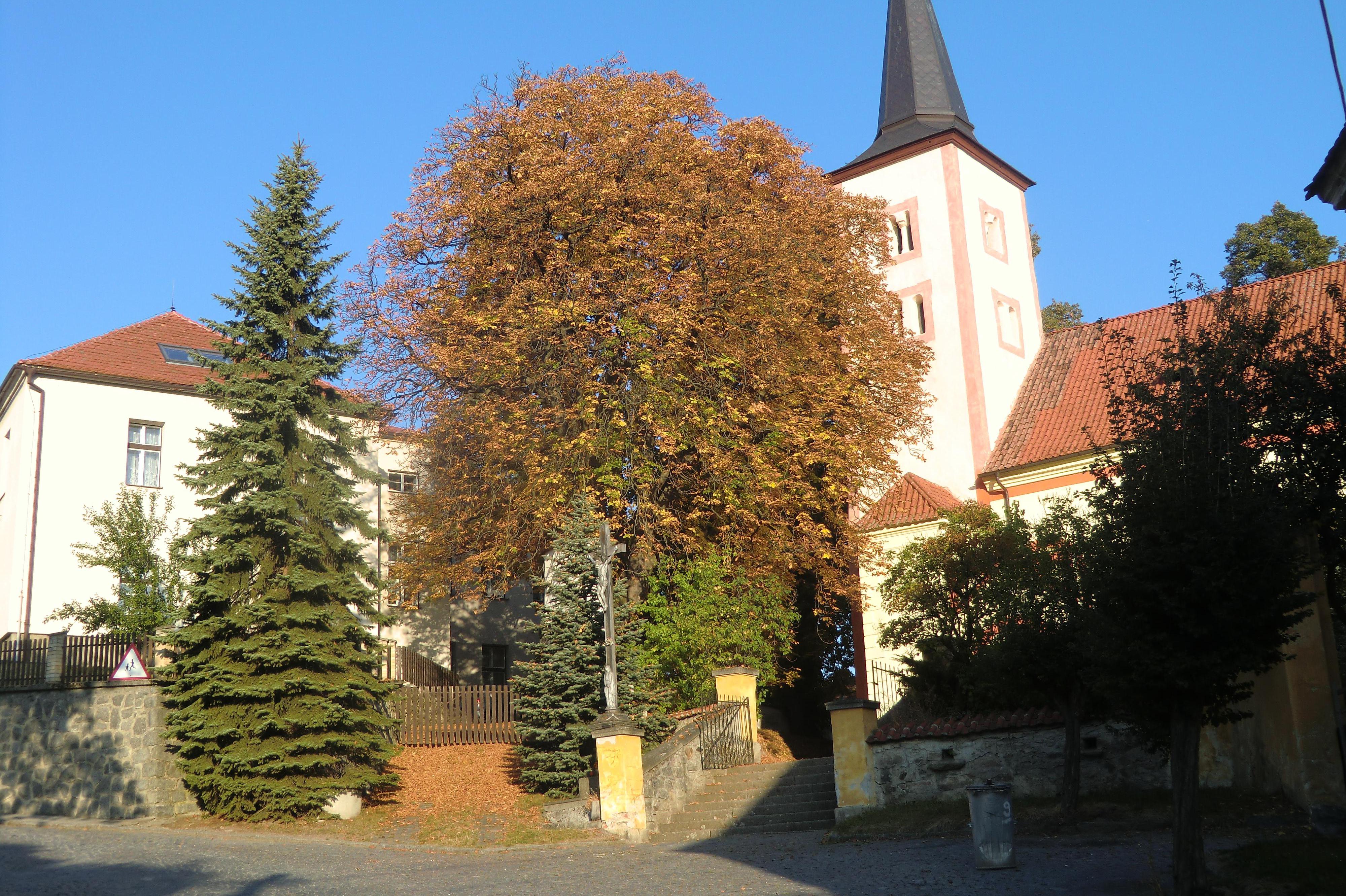 Škola v přírodě a školní jídelna Čestice