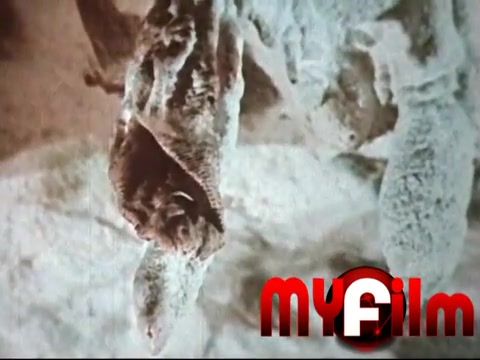 Digitalizace 8mm filmu, kazety VHS, skenování negativů - MYFilm foto 2 (náhled videa)