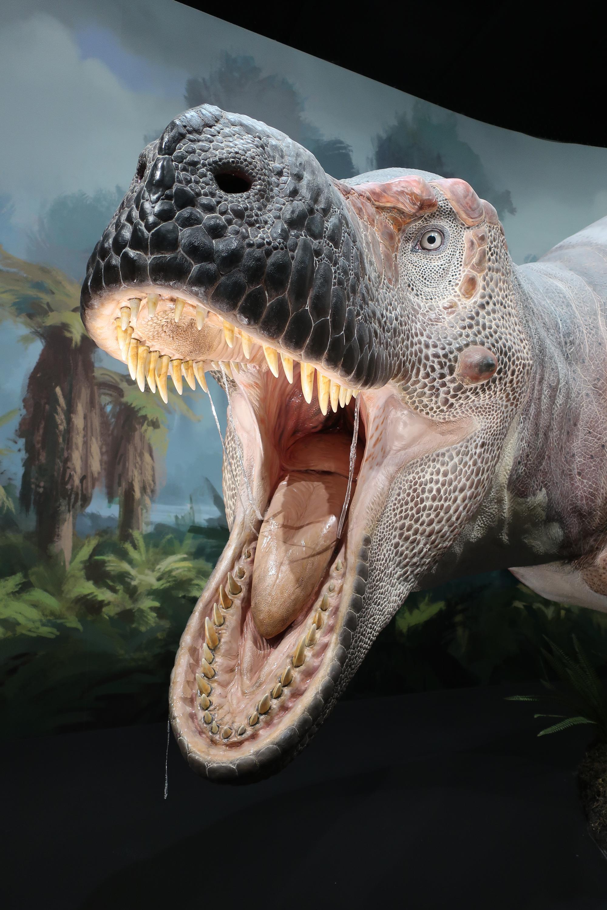 Dinosauria Museum Prague foto 6