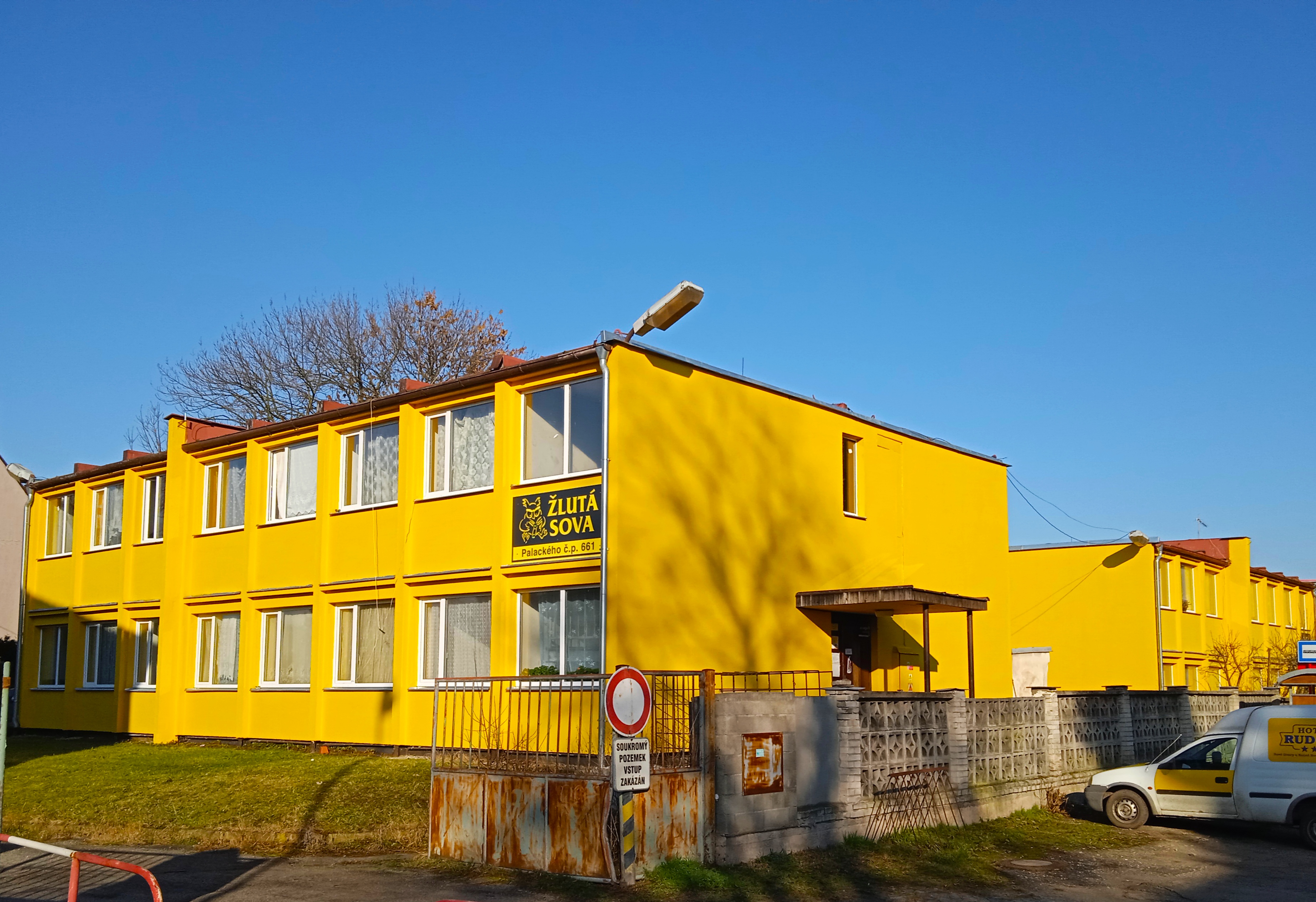 ŽLUTÁ SOVA foto 2