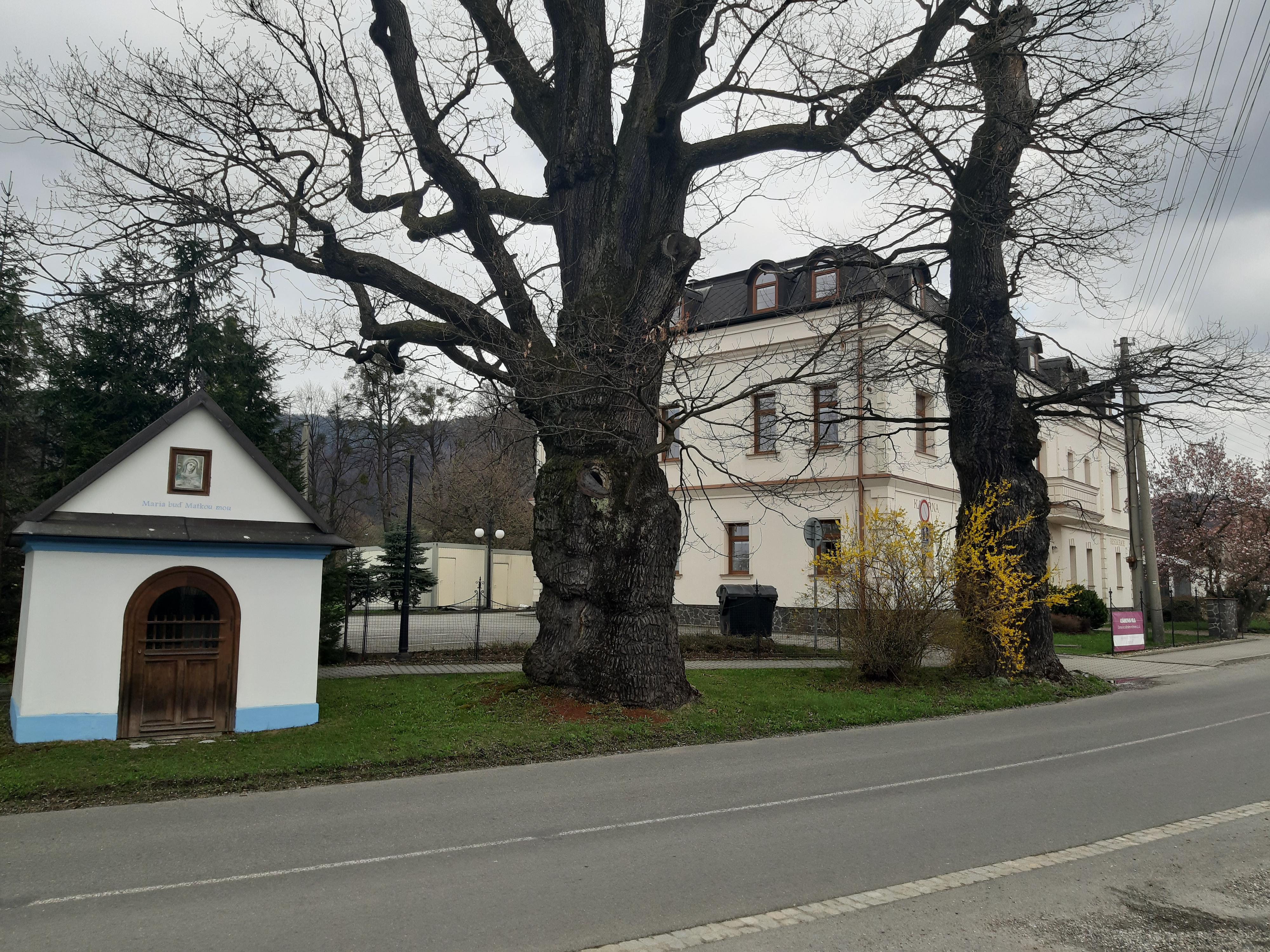 Adámkova vila, Domov se zvláštním režimem, z. ú. foto 3
