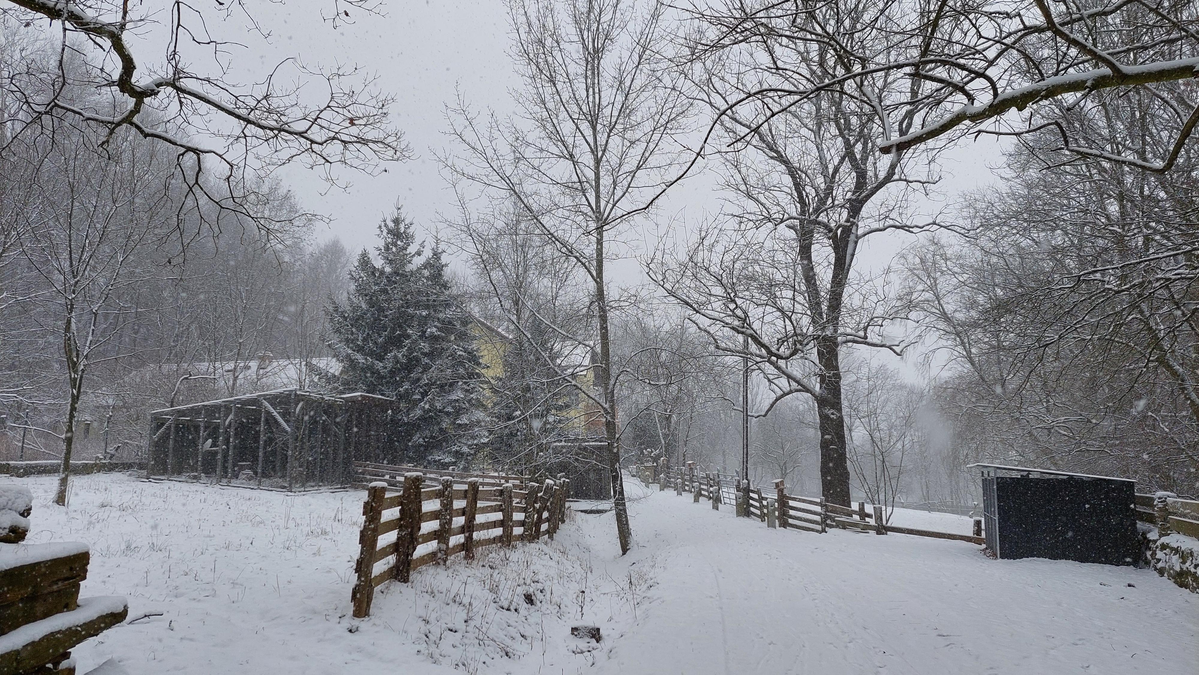 Lovecký zámeček pod Milešovkou foto 5
