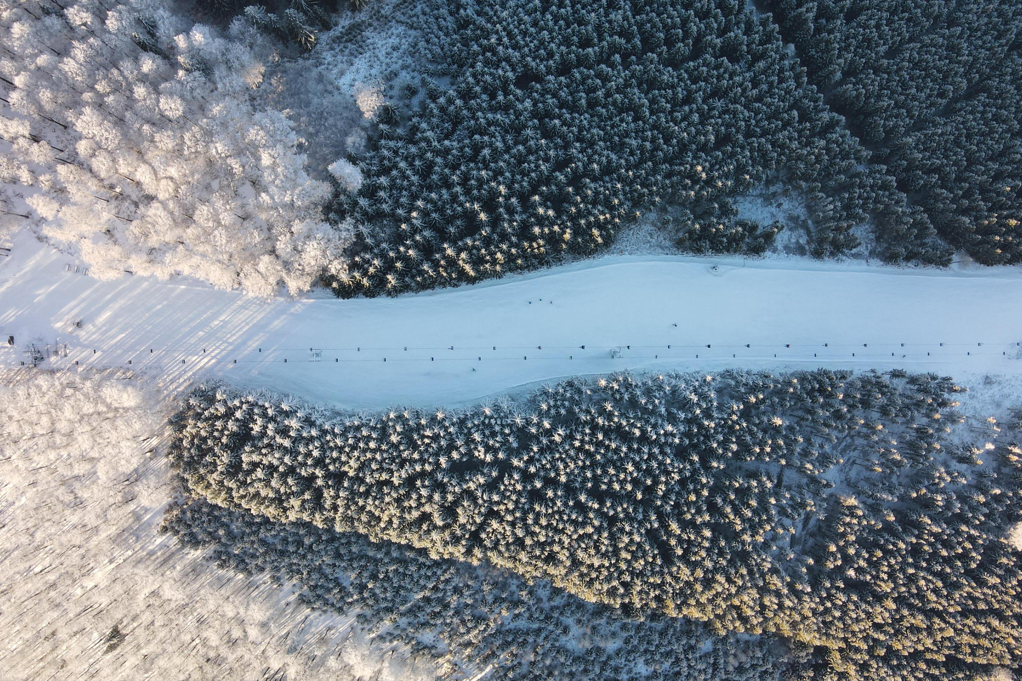 Profi SKi & SnB school