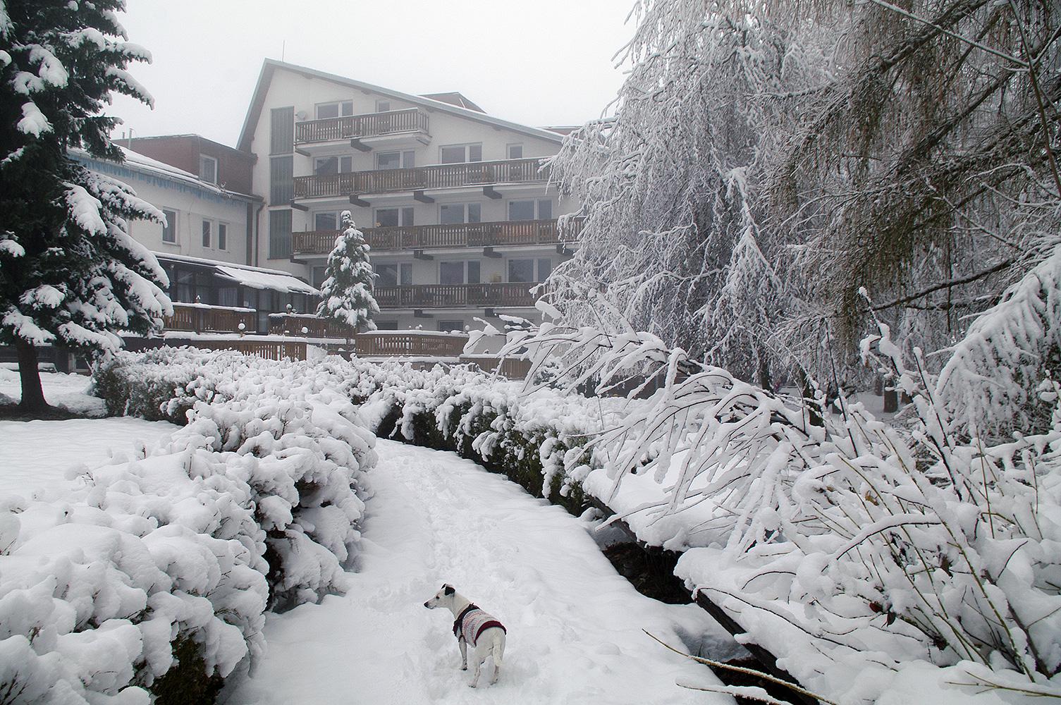 Restaurace Václavov