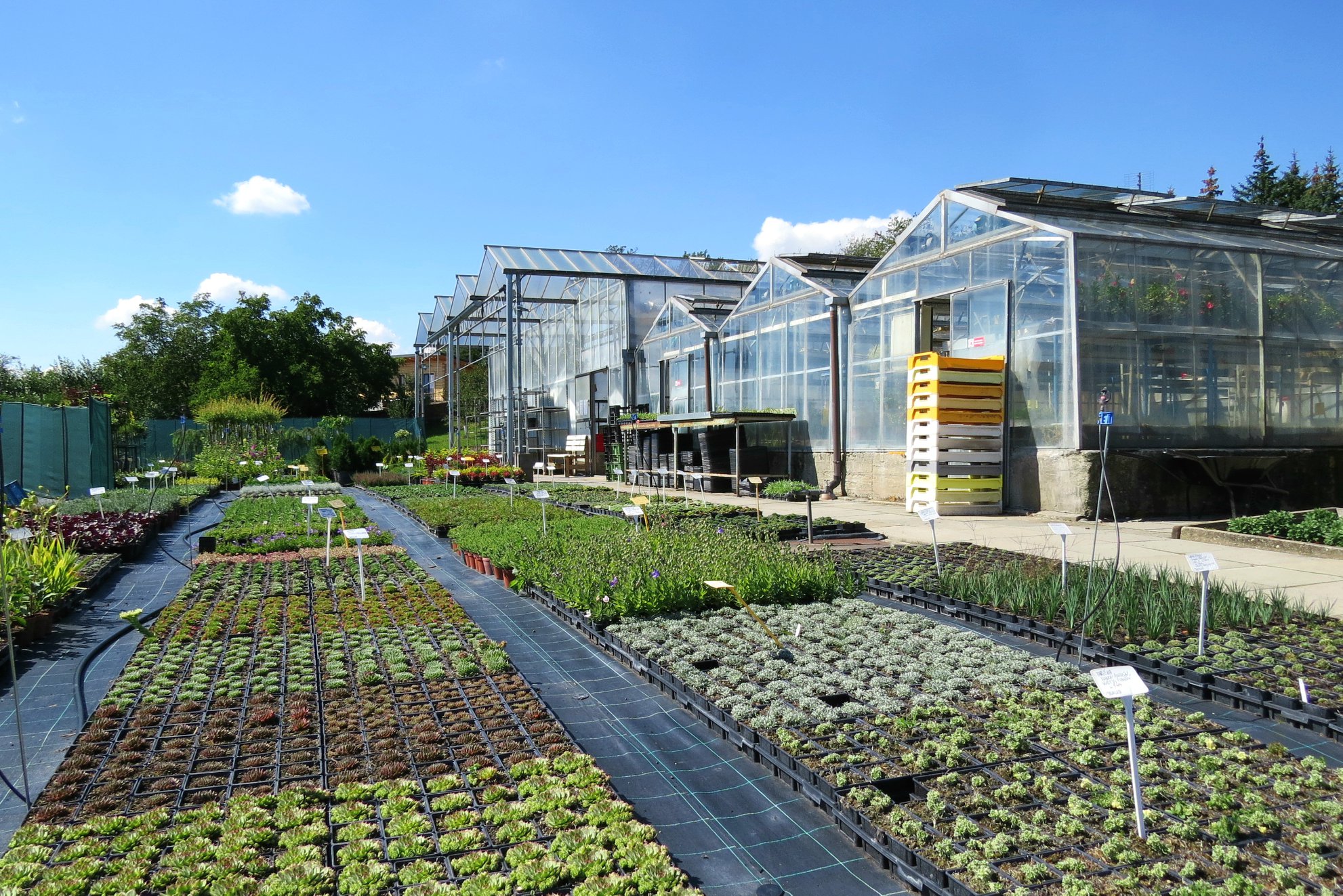 Zahradnictví Bouchalovi foto 2