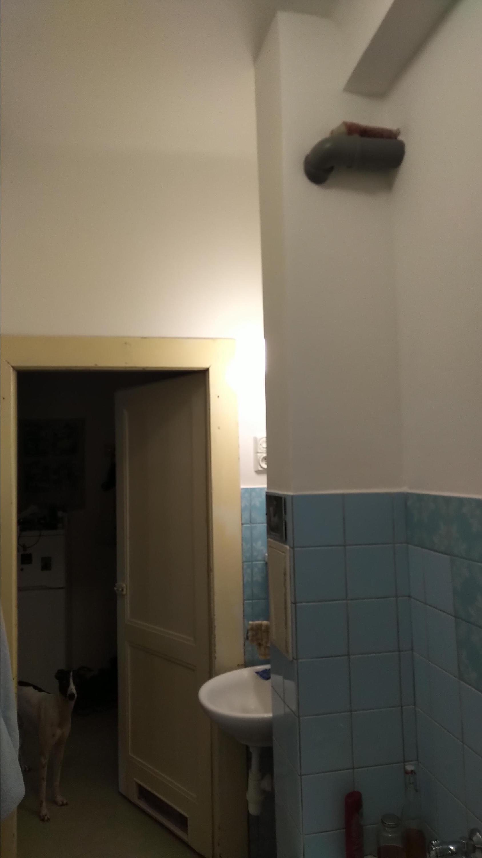 Hodinový manžel Rokyta foto 5