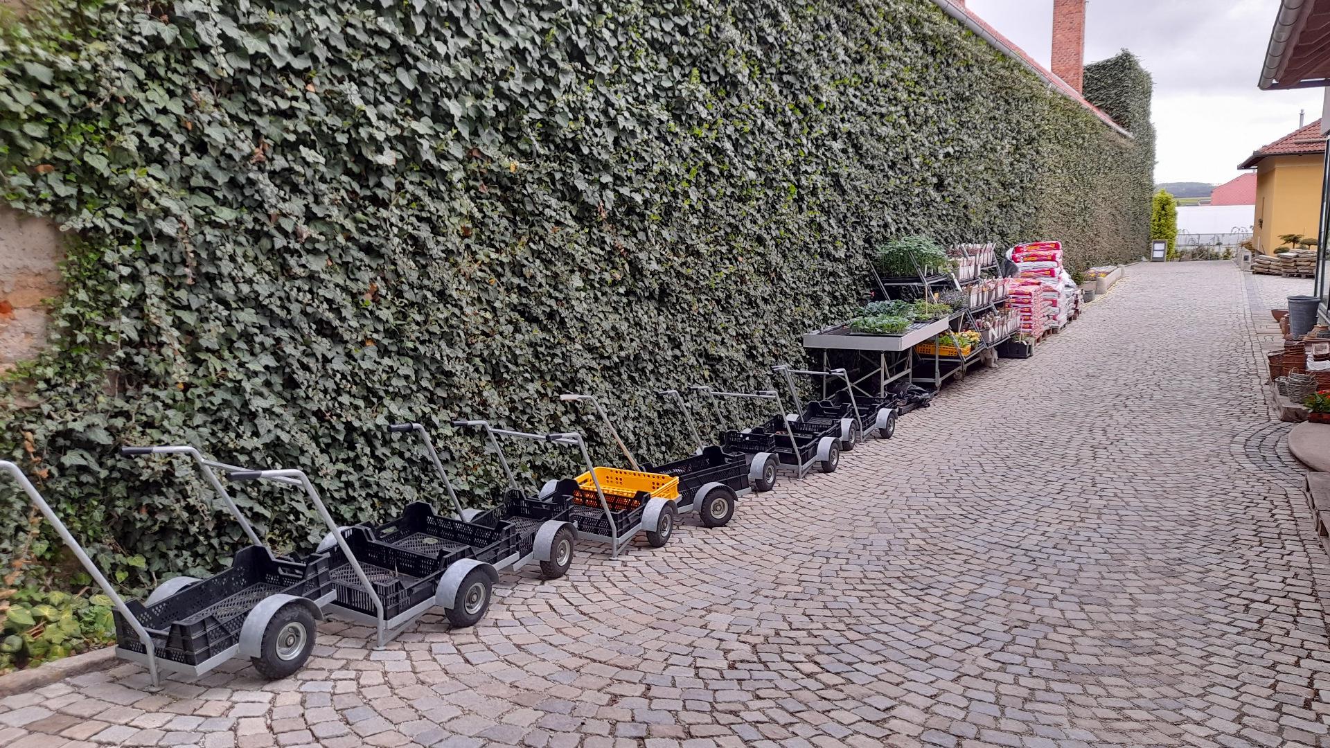 Zahradnictví v Kaštanech s.r.o.