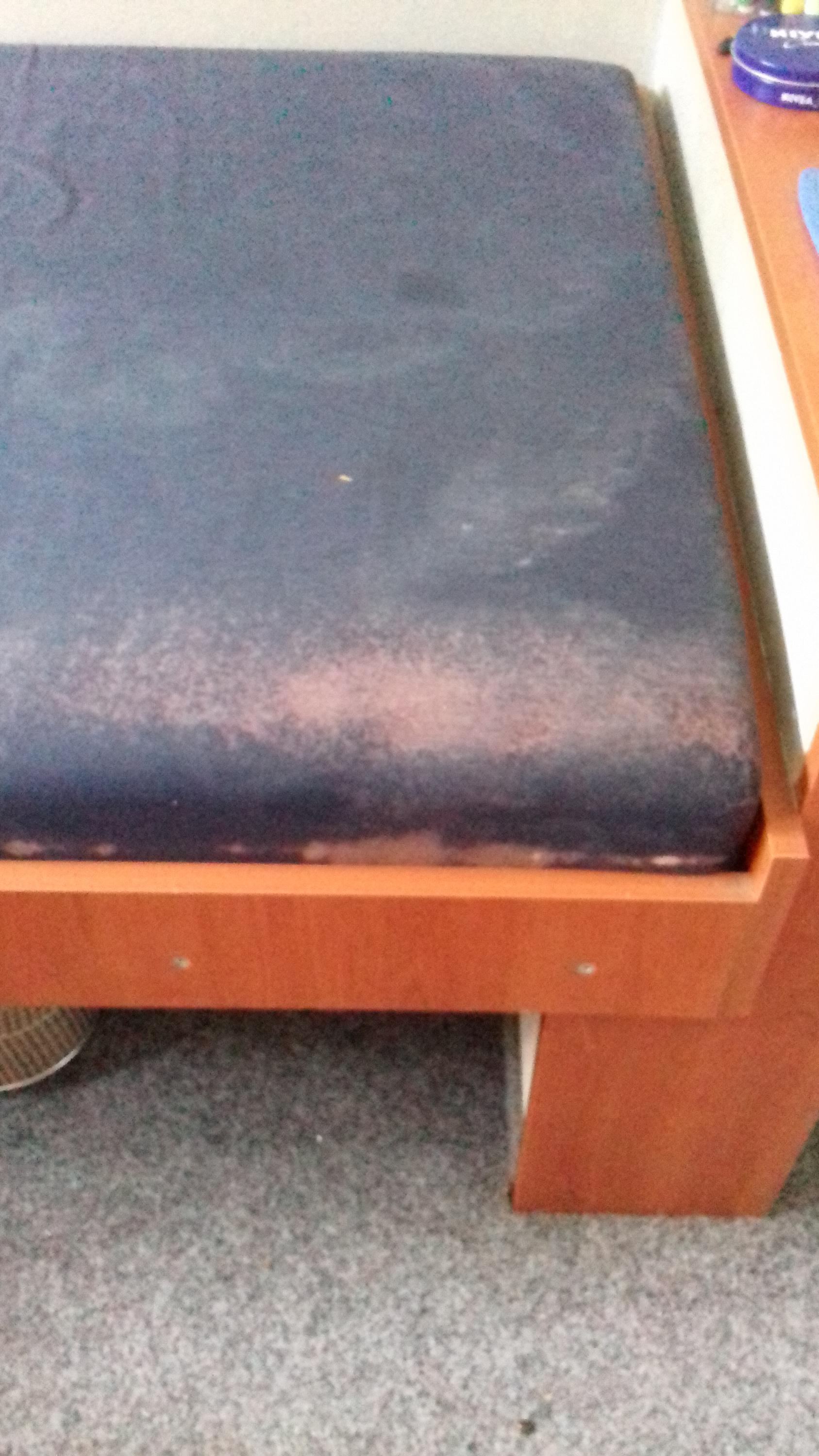 Ubytování ve žlíbku foto 6