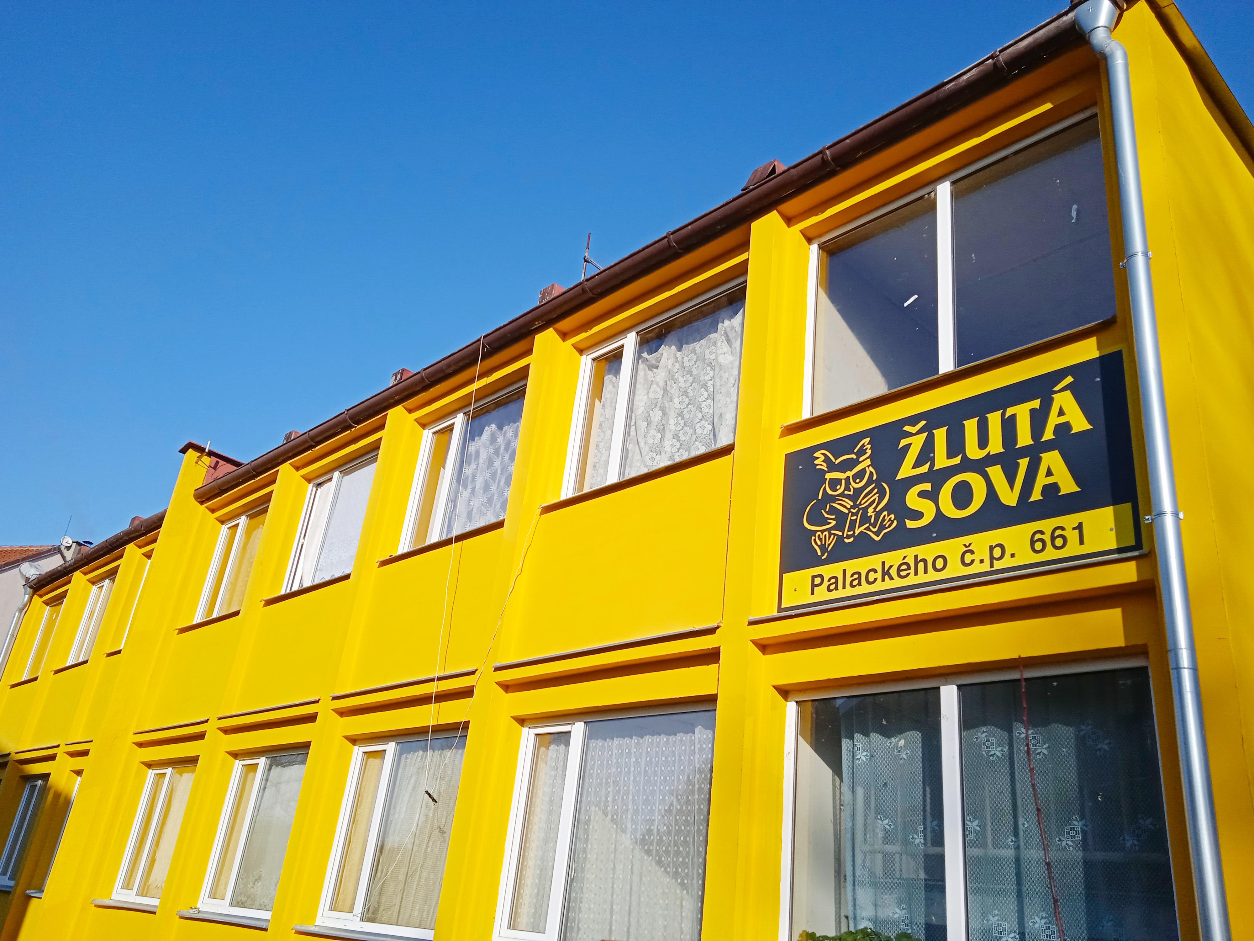 ŽLUTÁ SOVA foto 4