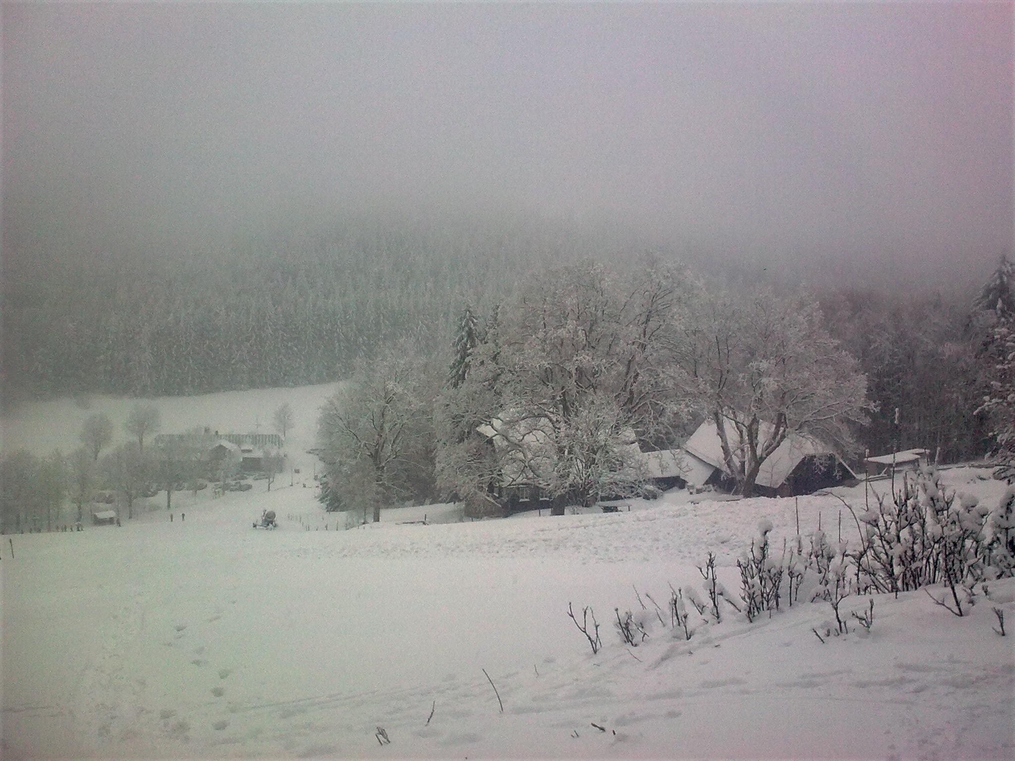 Horská bouda Čihalka - restaurace foto 3