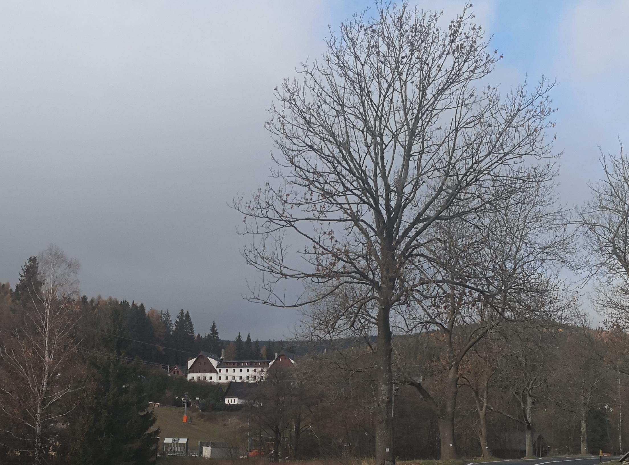 Horský Hotel Kopřivná foto 6