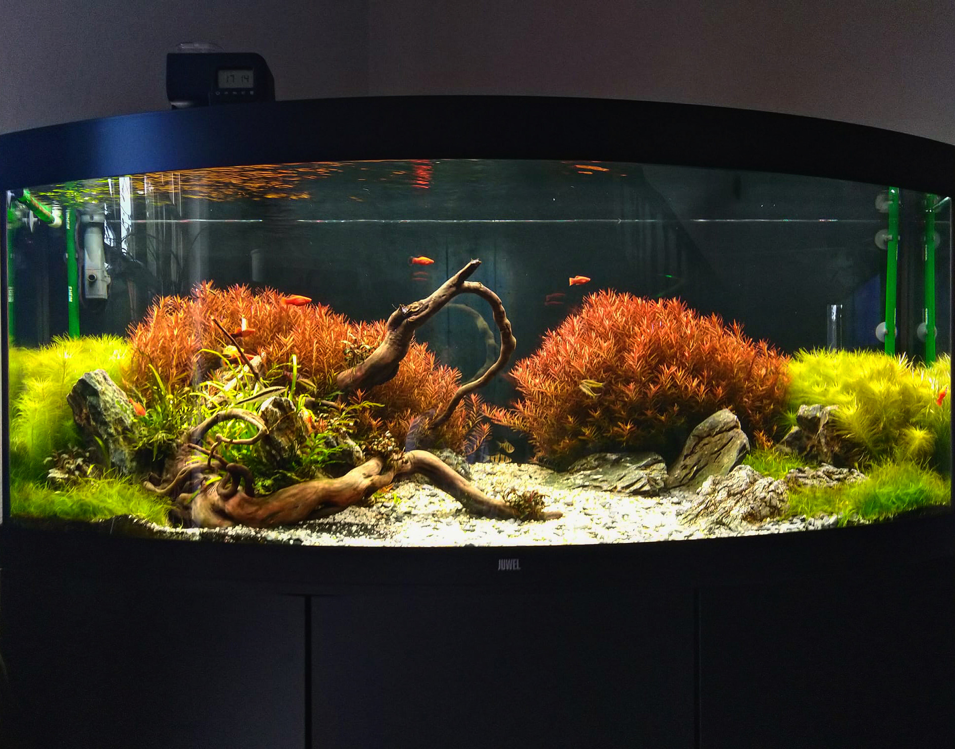 Aquascaping4you - Josef Kapal foto 4