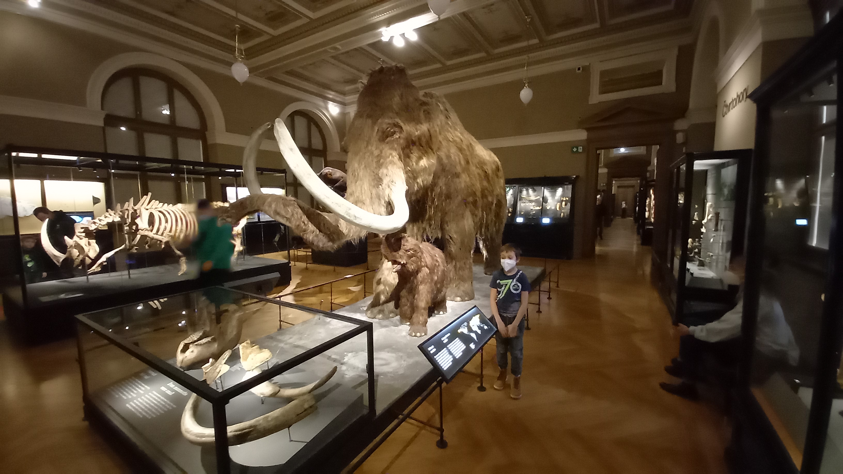 Historická budova Národního muzea foto 6