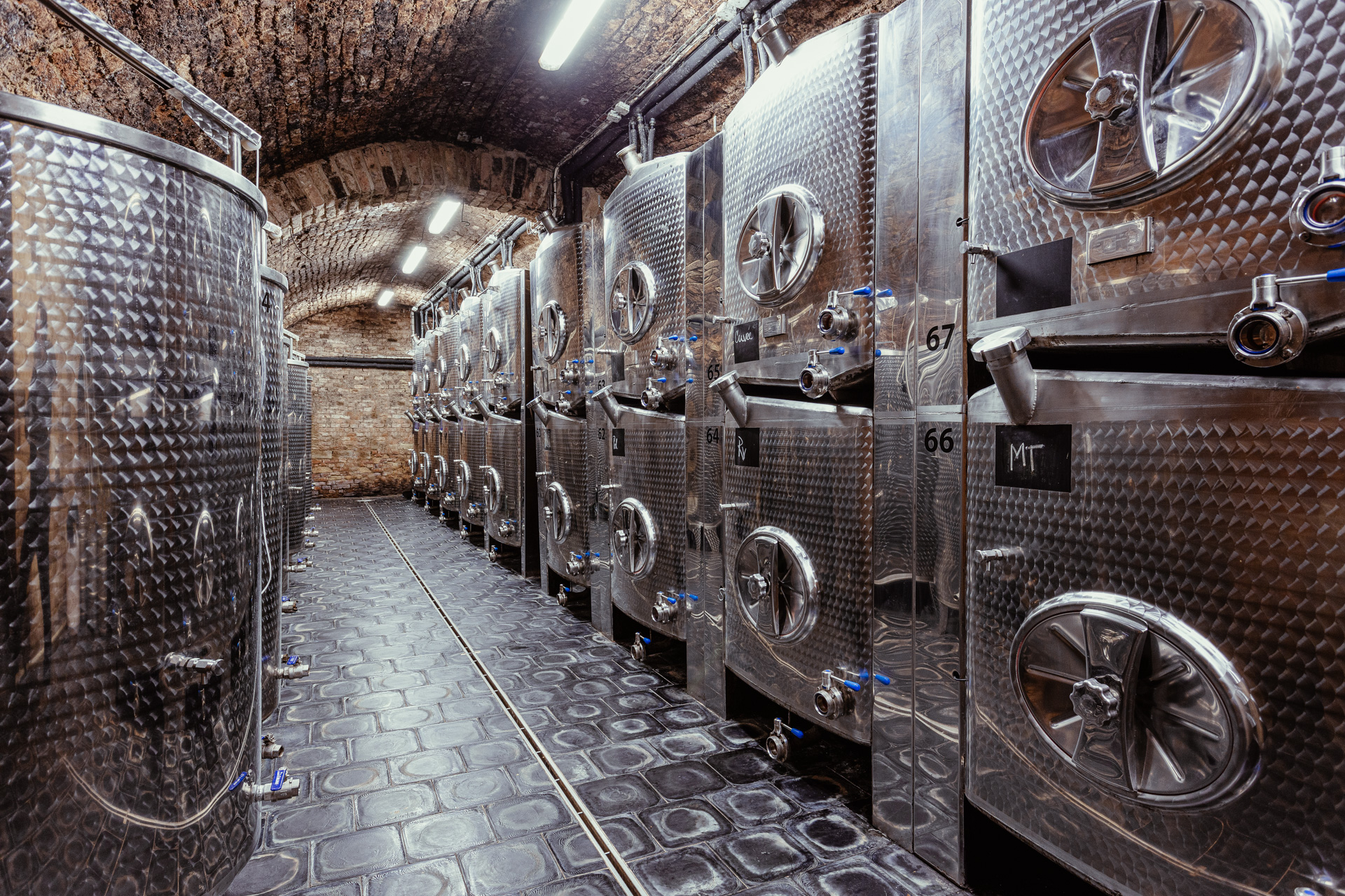 Vinařství Omasta foto 2