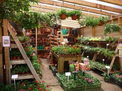 Build Your Home - Prodejní zahrada Černý Vůl foto 3