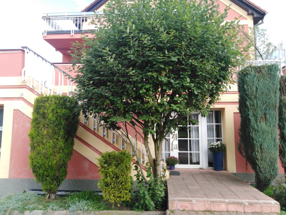 Penzion Červený Mlýn foto 2