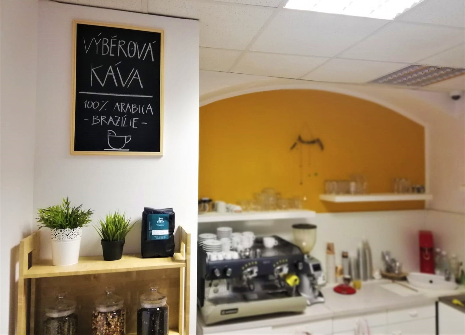 Pizza Caffe Terra