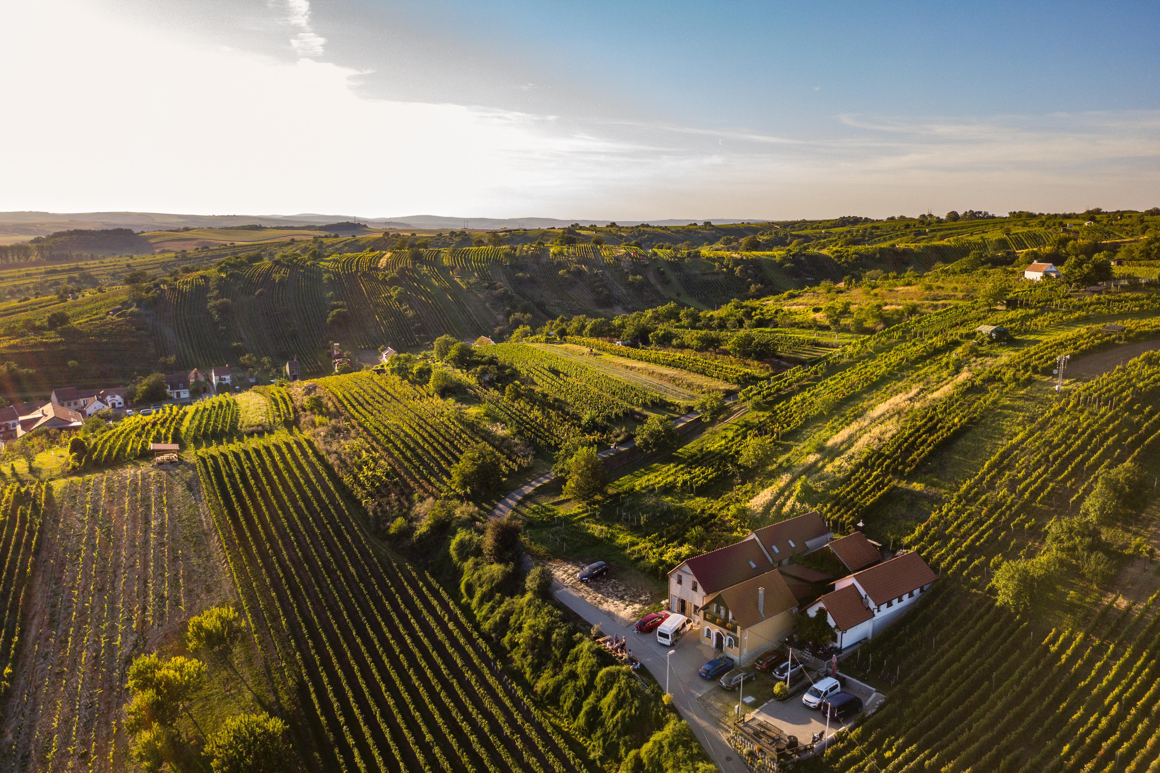 Vinařství Marian Vrba - ubytování foto 2