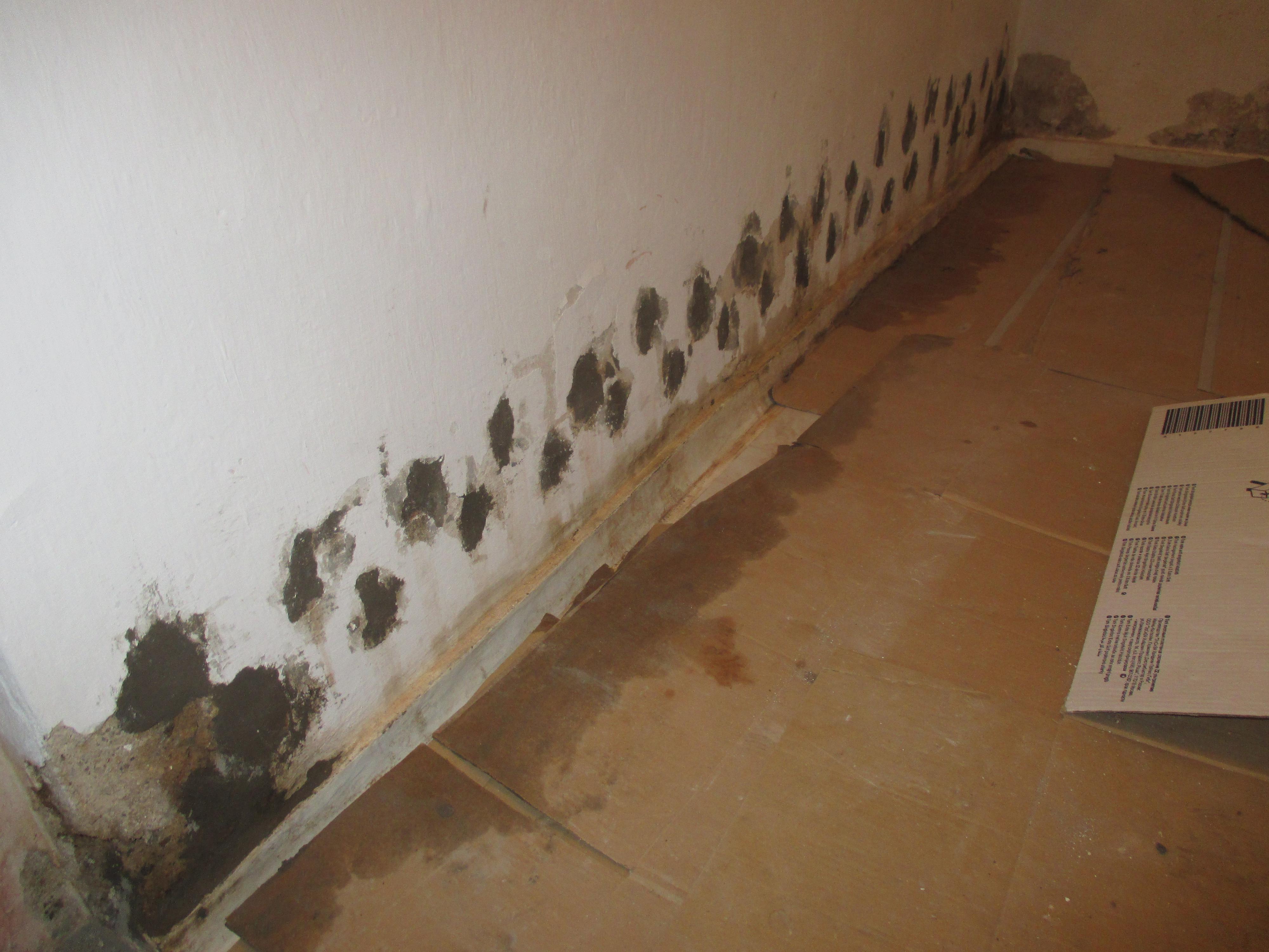 CHEMICKÉ INJEKTÁŽE foto 3