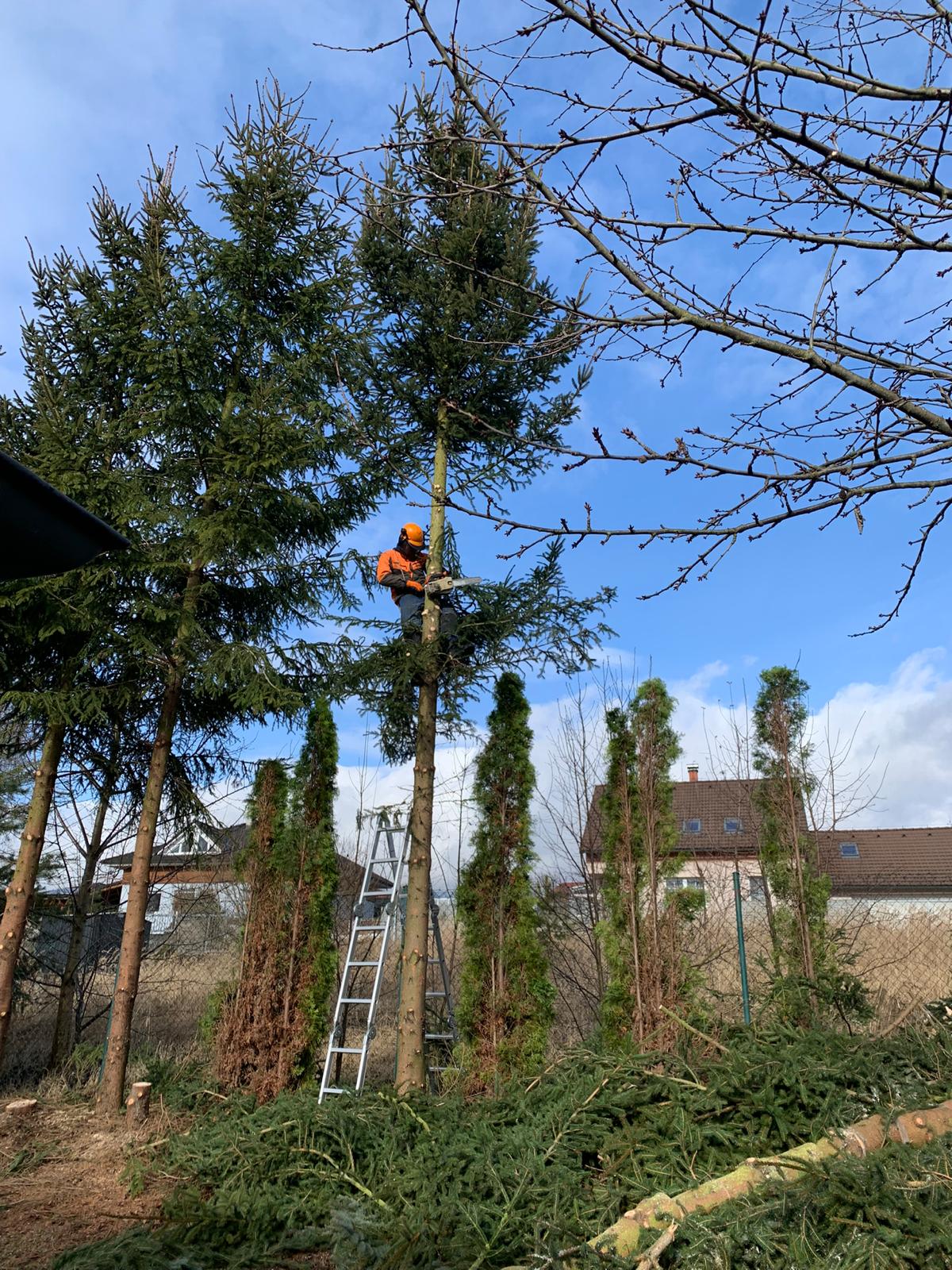 Kohel foto 6