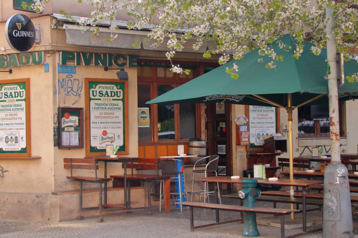 Pivnice U SADU foto 6