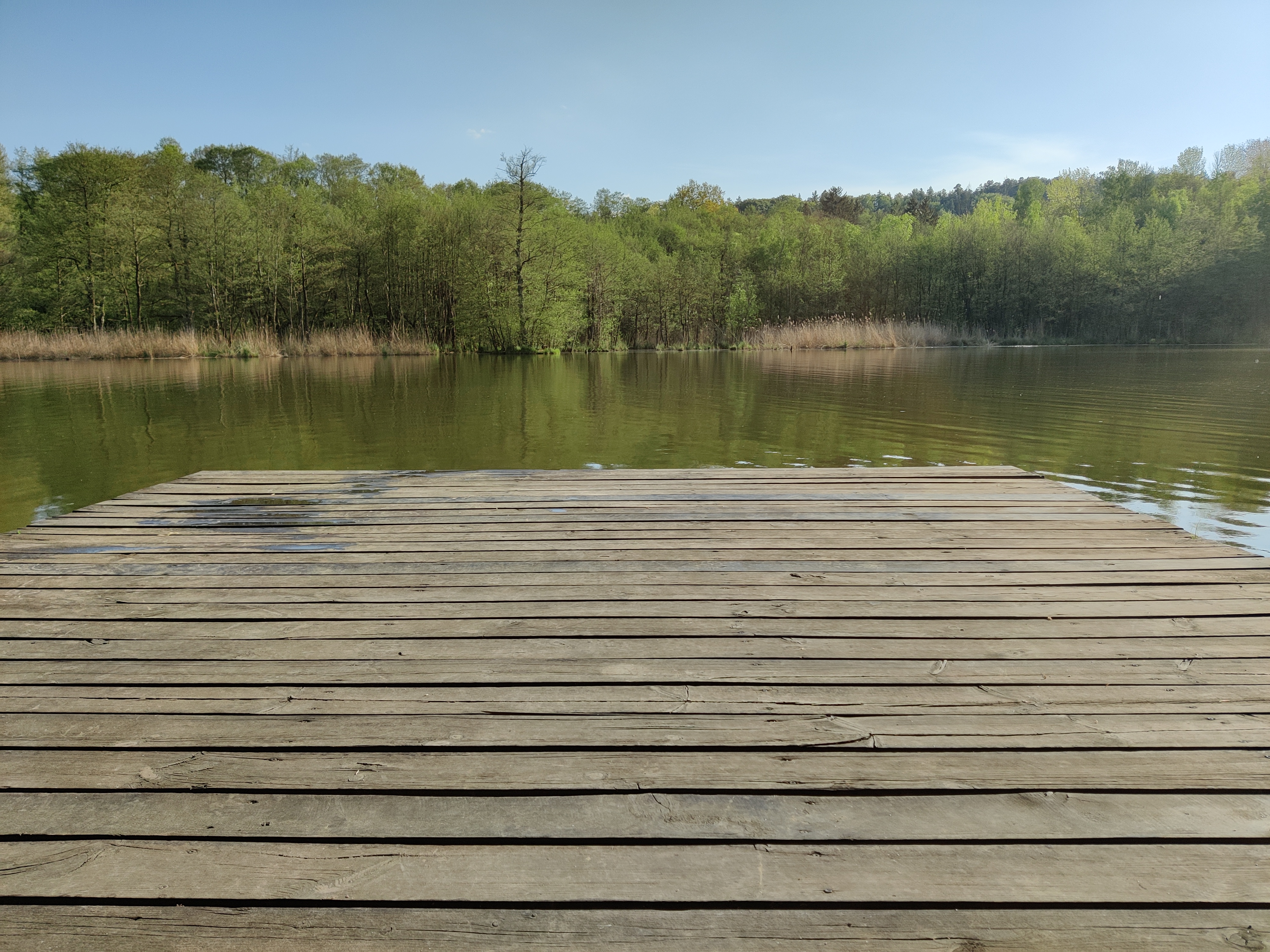 Přírodní koupaliště Bažantník foto 3