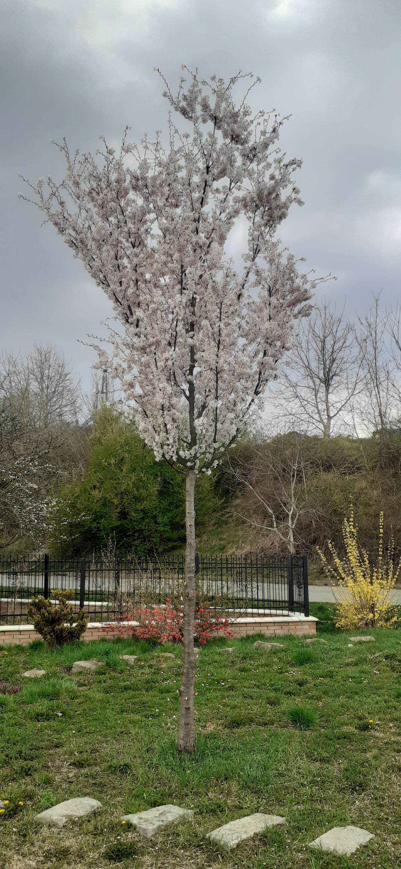 ZUŠ Kuřim, Zahradní foto 5