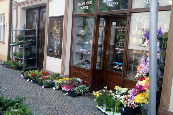 Zahradnictvi Holice V V Cechach () Zahradnictvi Holice V V Cechach
