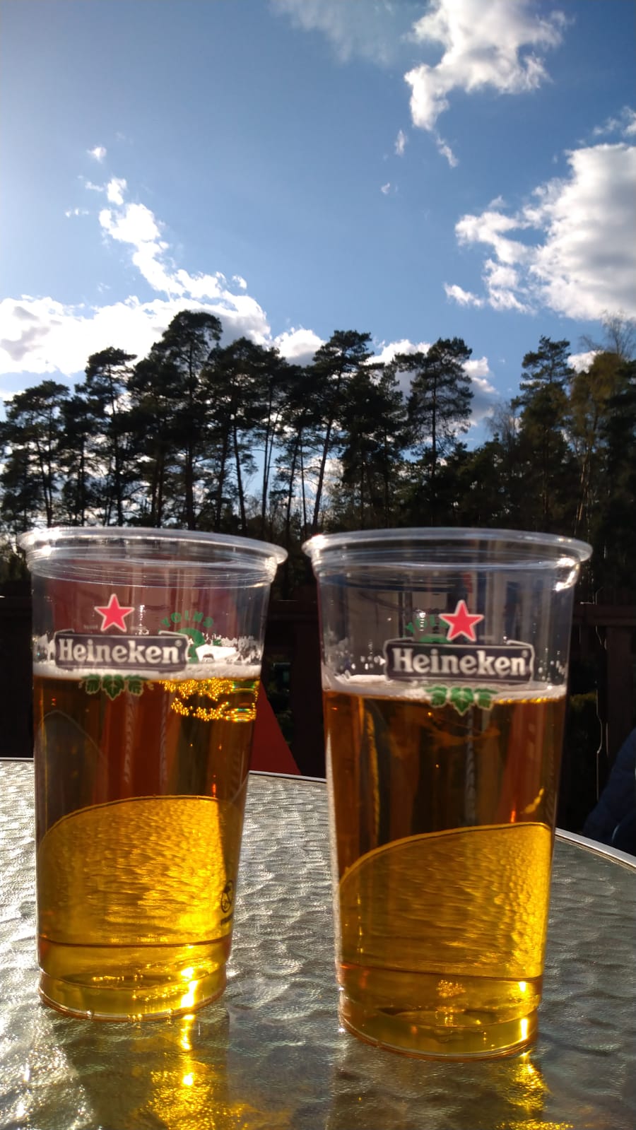 Rezidence FAMI*** De Luxe Design Máchovo jezero foto 5