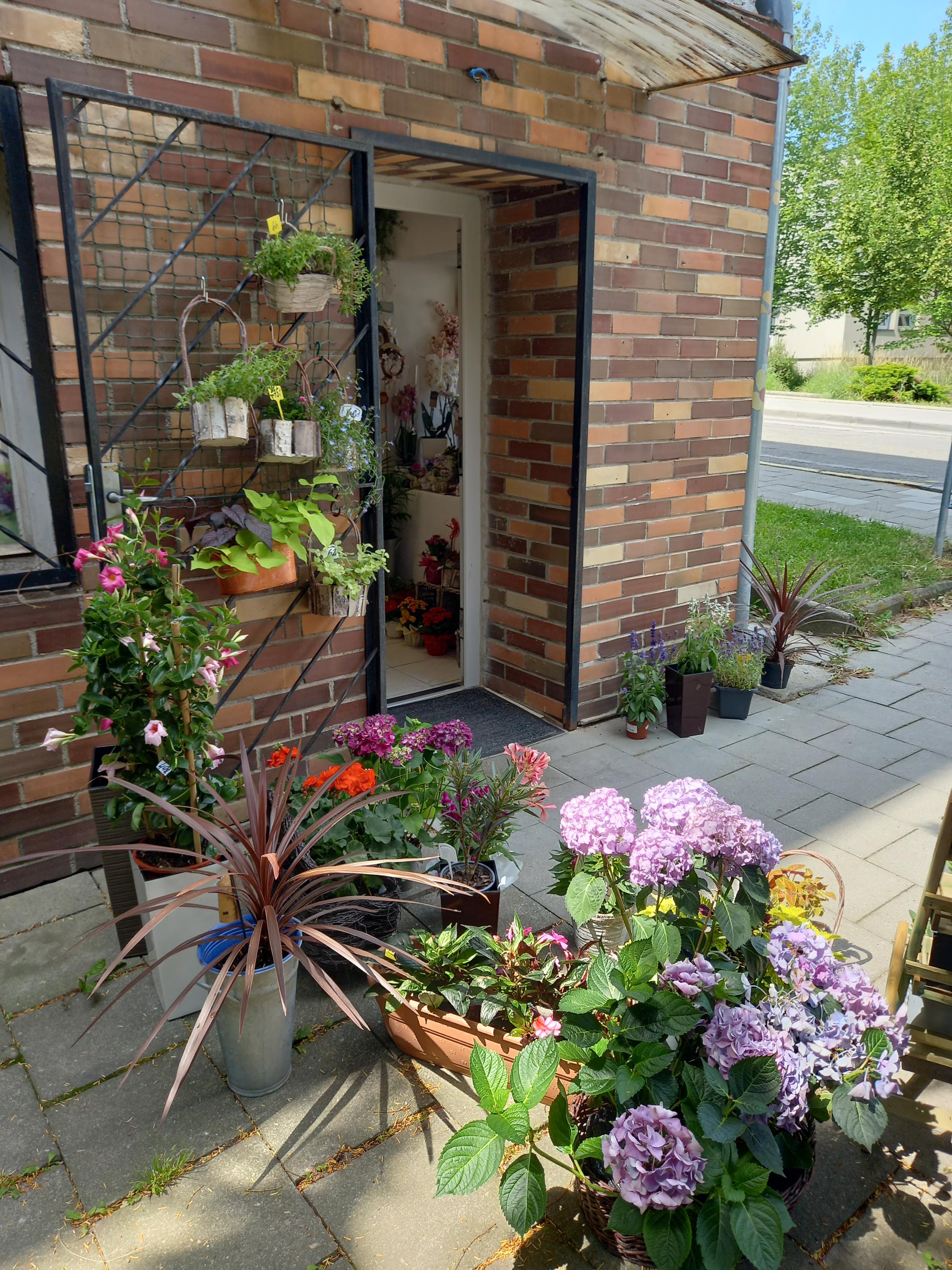 Květinářství Spirit Jitka Eichlerová foto 2