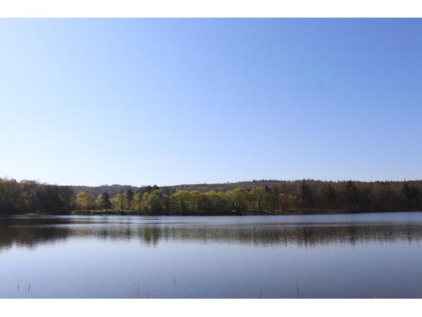 Rekreační středisko Soseň foto 3