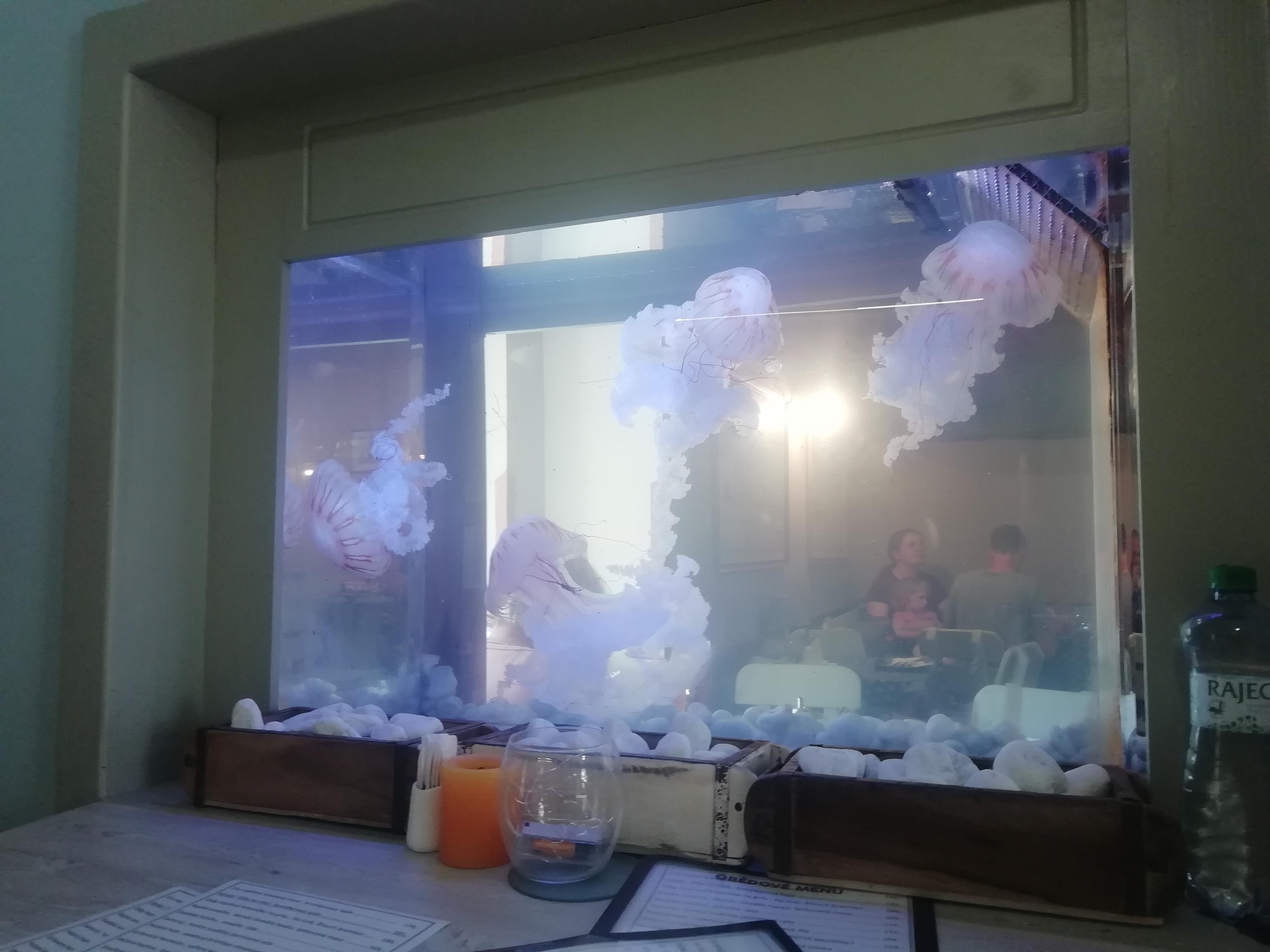 PIRAT restaurant - fresh bar foto 2