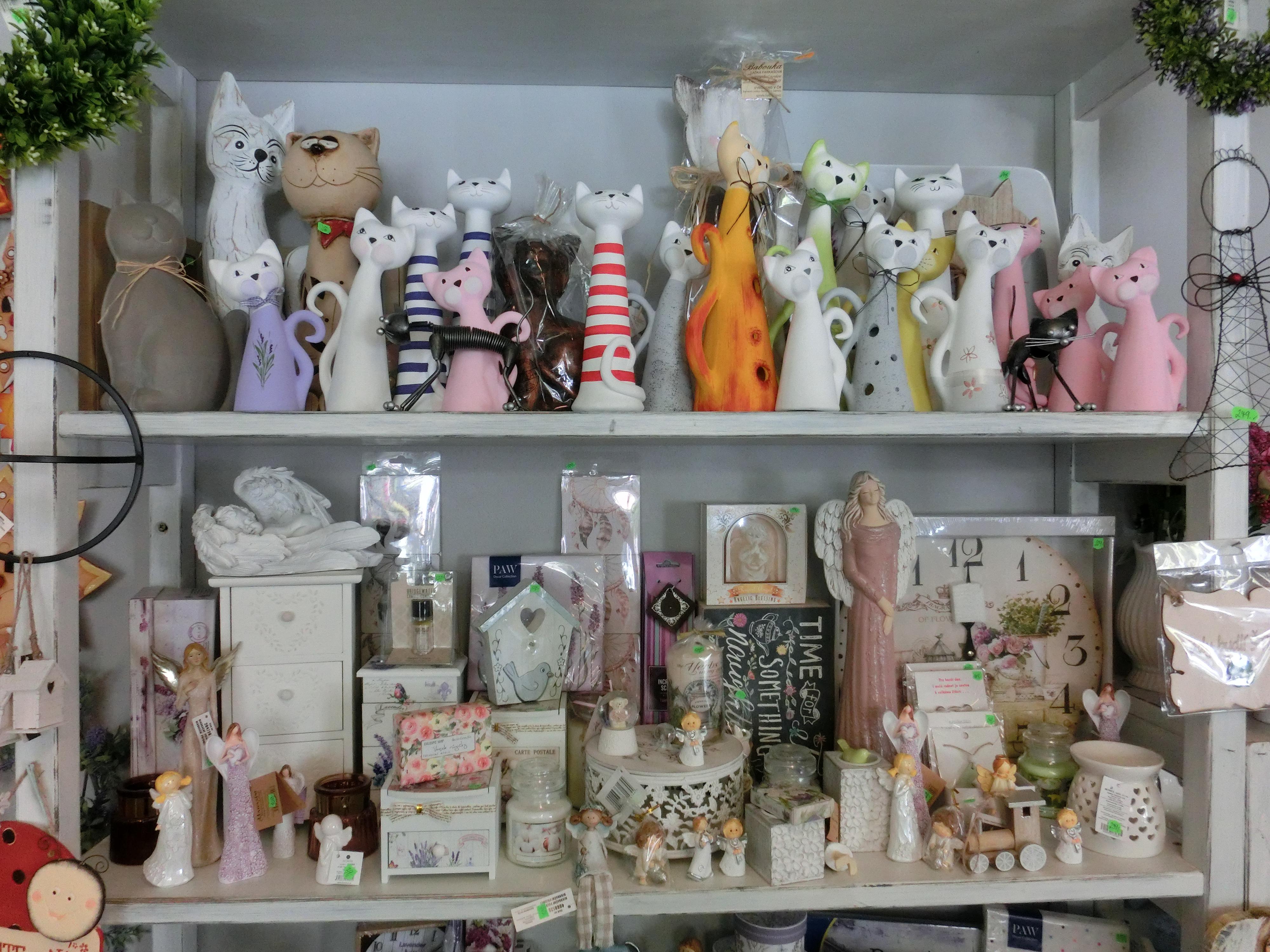 Kytičky Petra Malínková foto 2