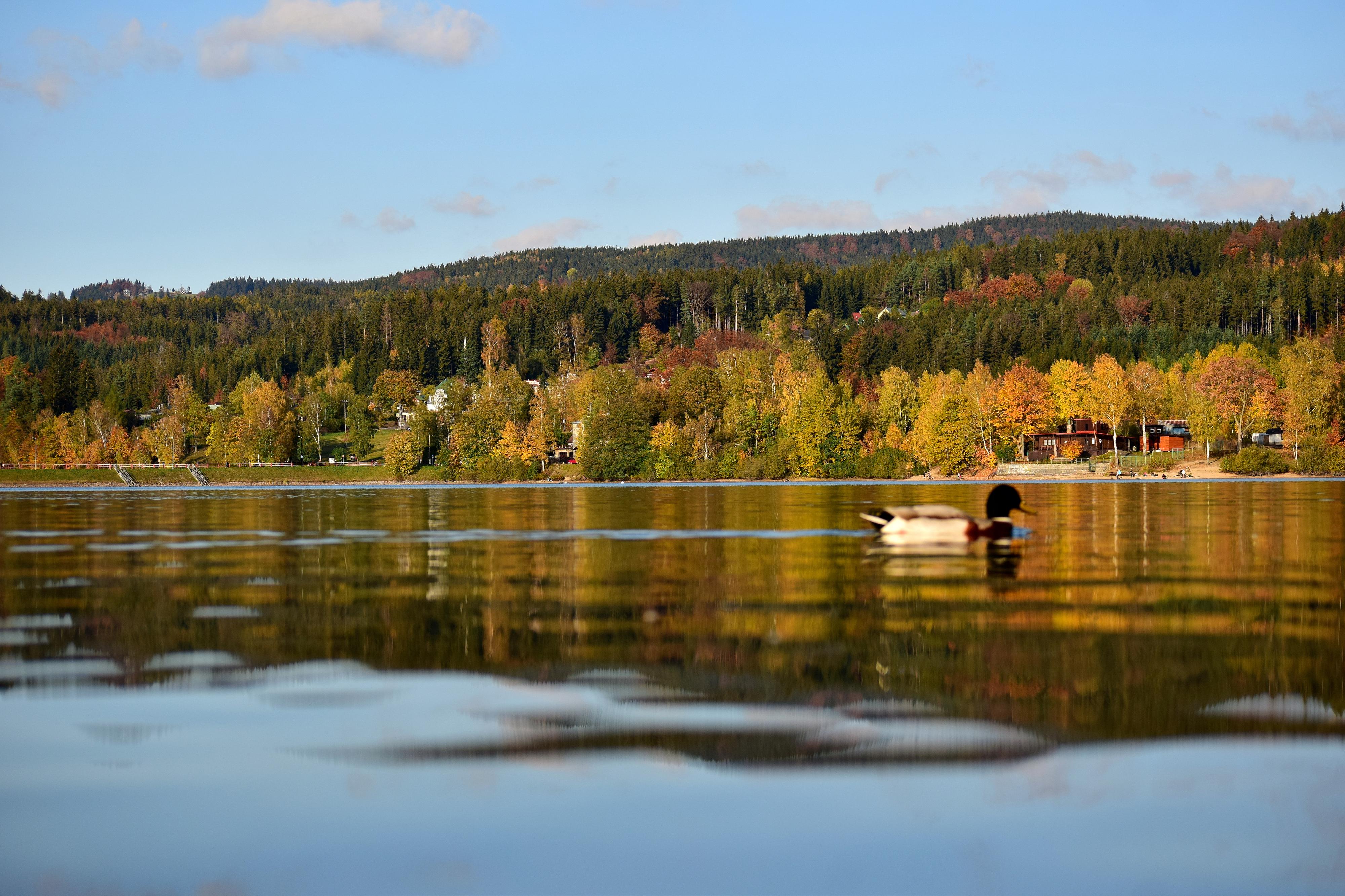 Vodní nádrž Mšeno foto 5